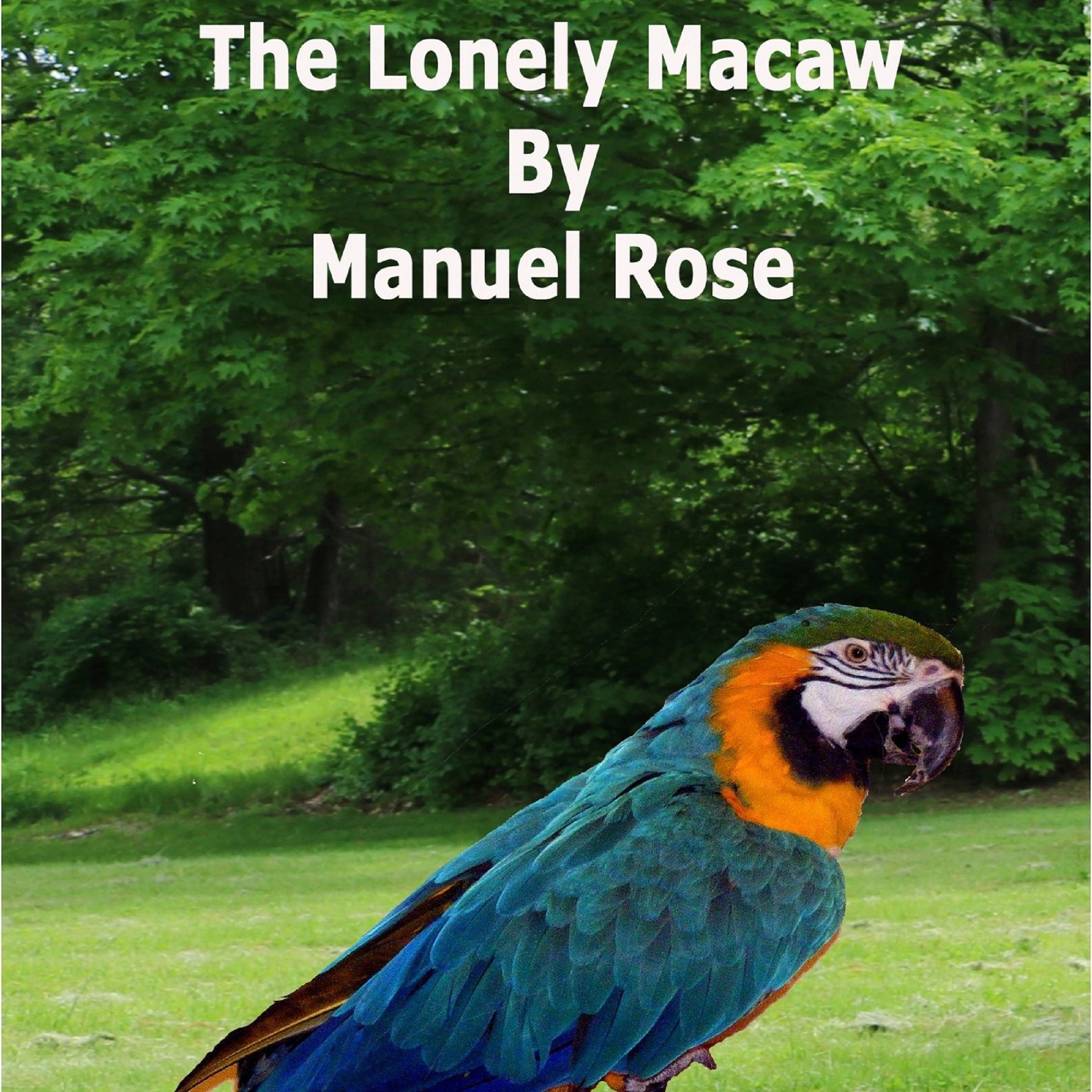 The Lonely Macaw by Manuel Rose