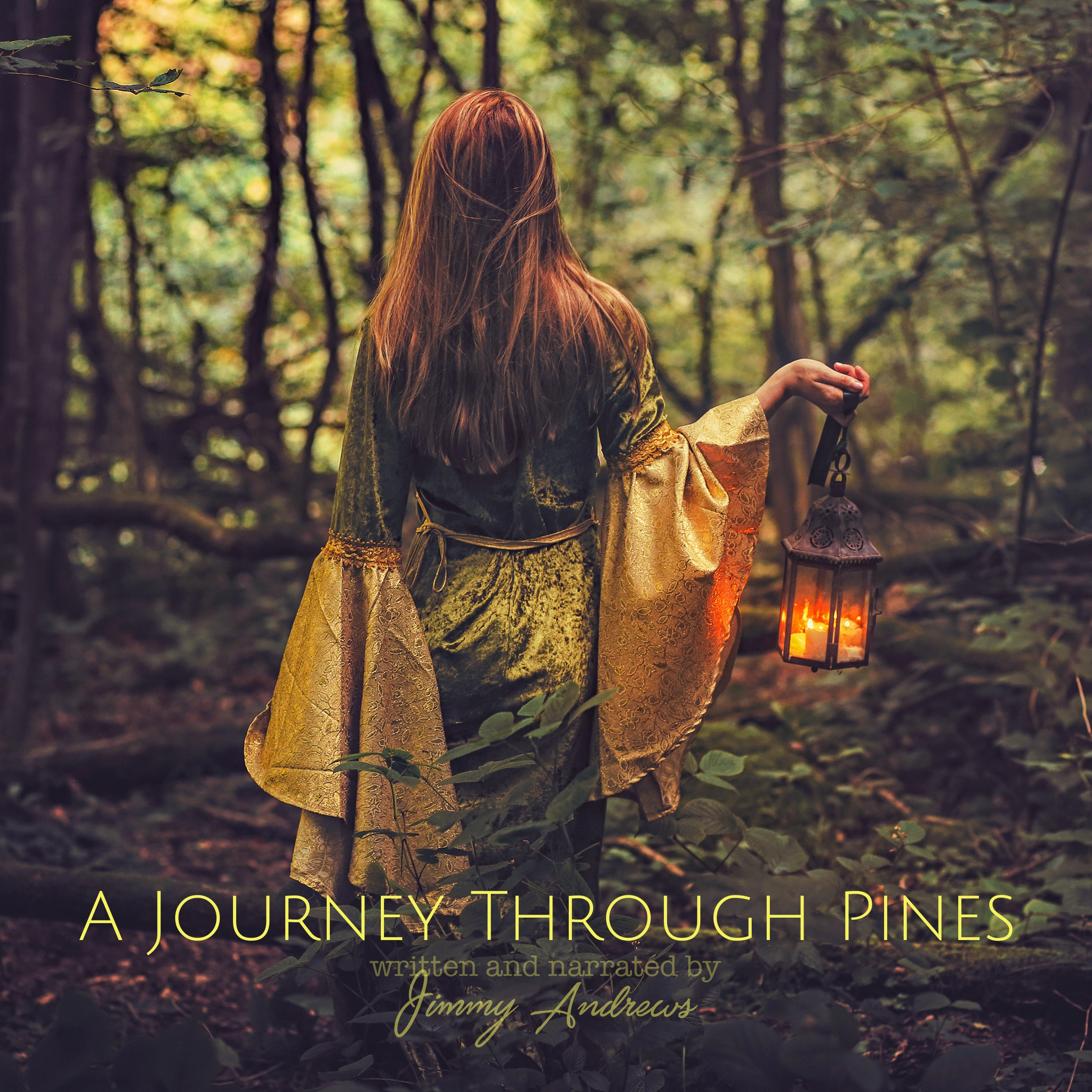 A Journey Through Pines by Jimmy Andrews