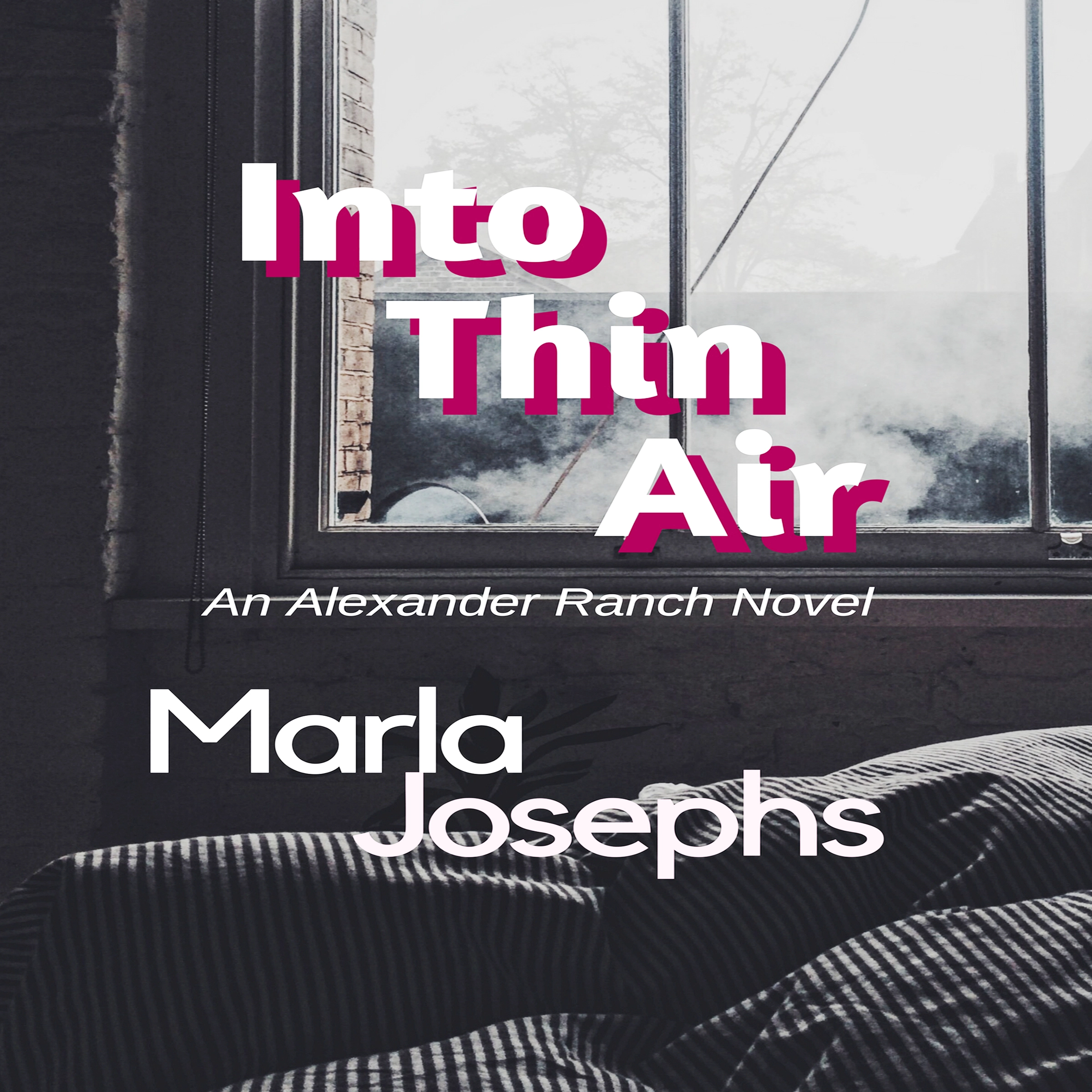 Into Thin Air by Marla Josephs