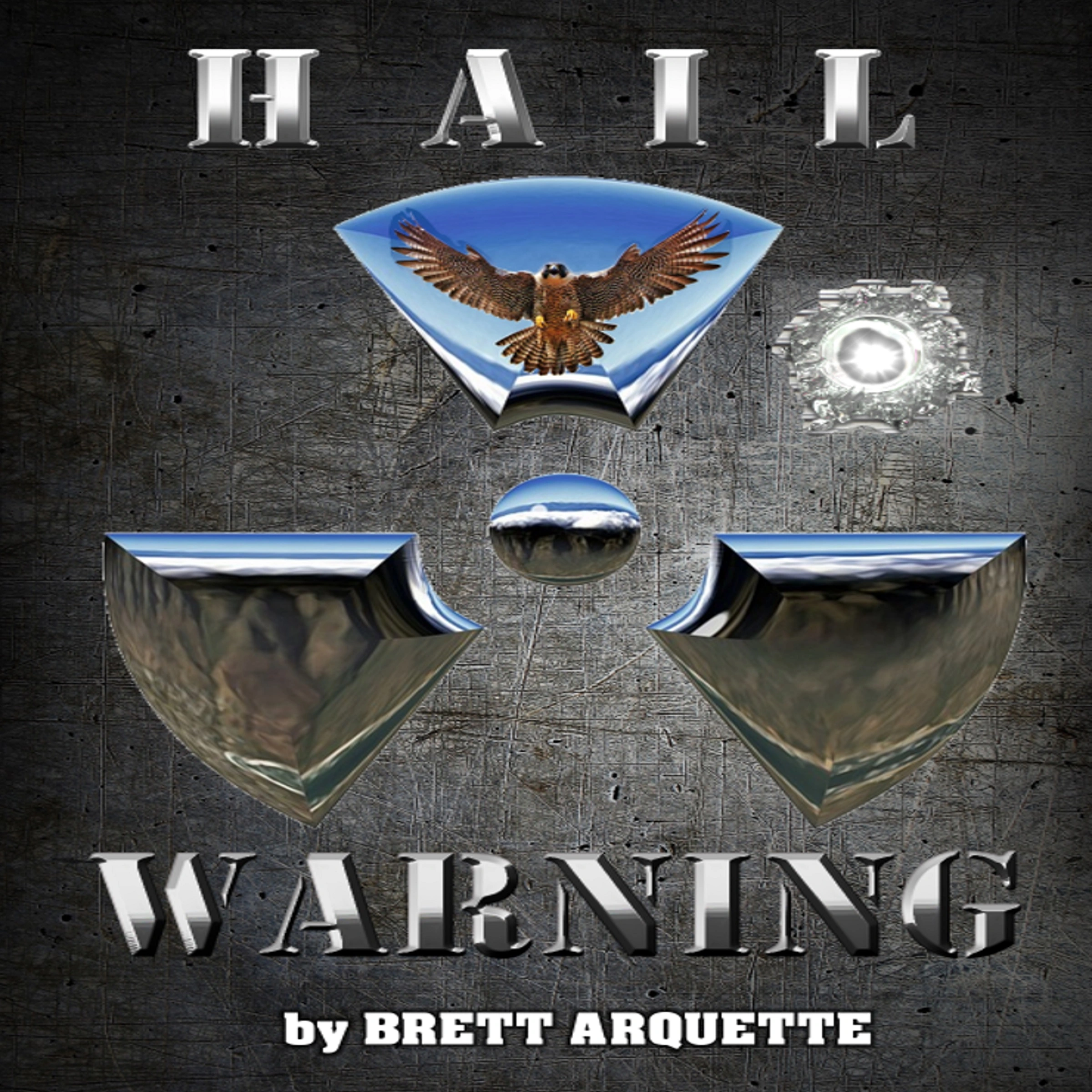 Hail Warning Audiobook by Brett Arquette