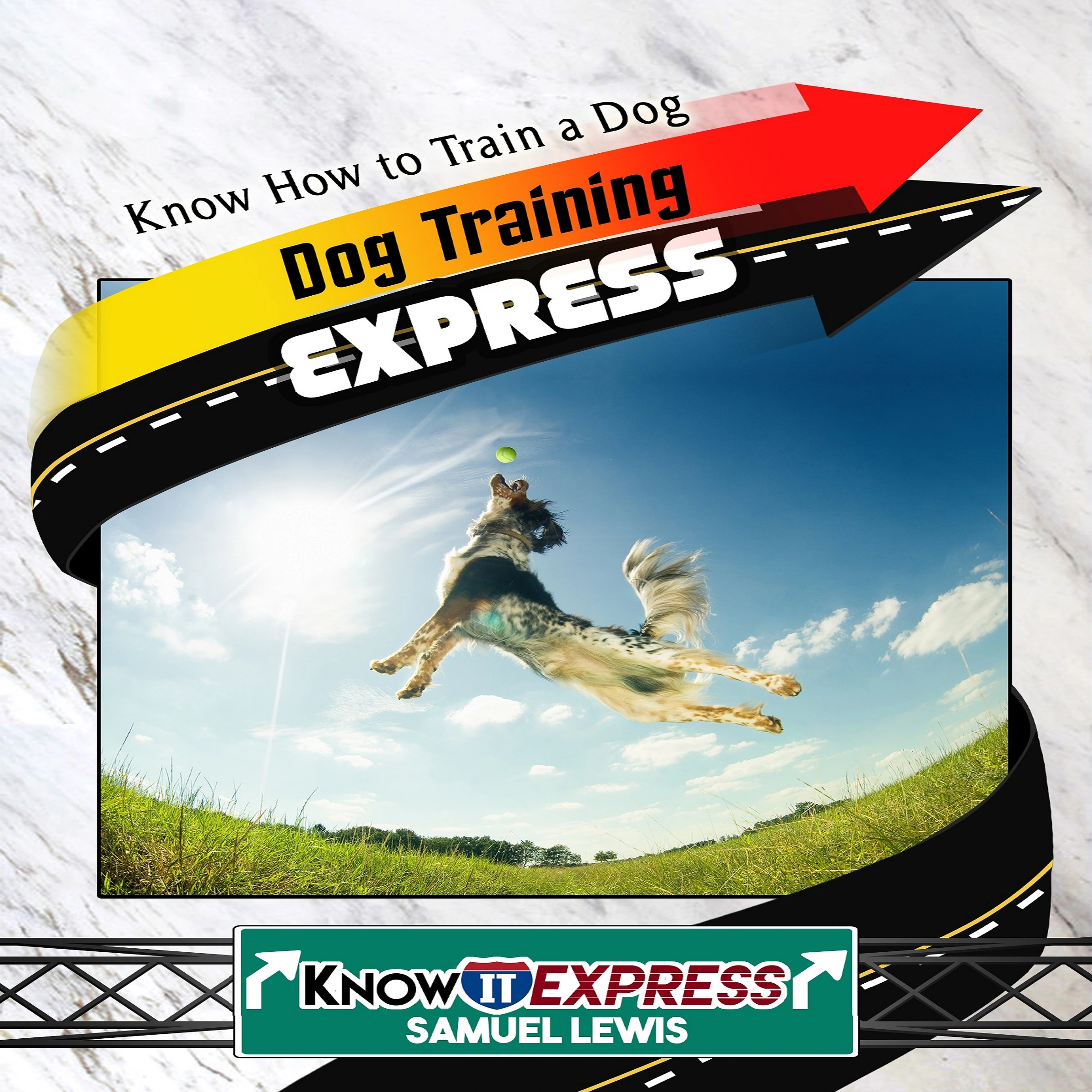 Dog Training Express Audiobook by Samuel Lewis