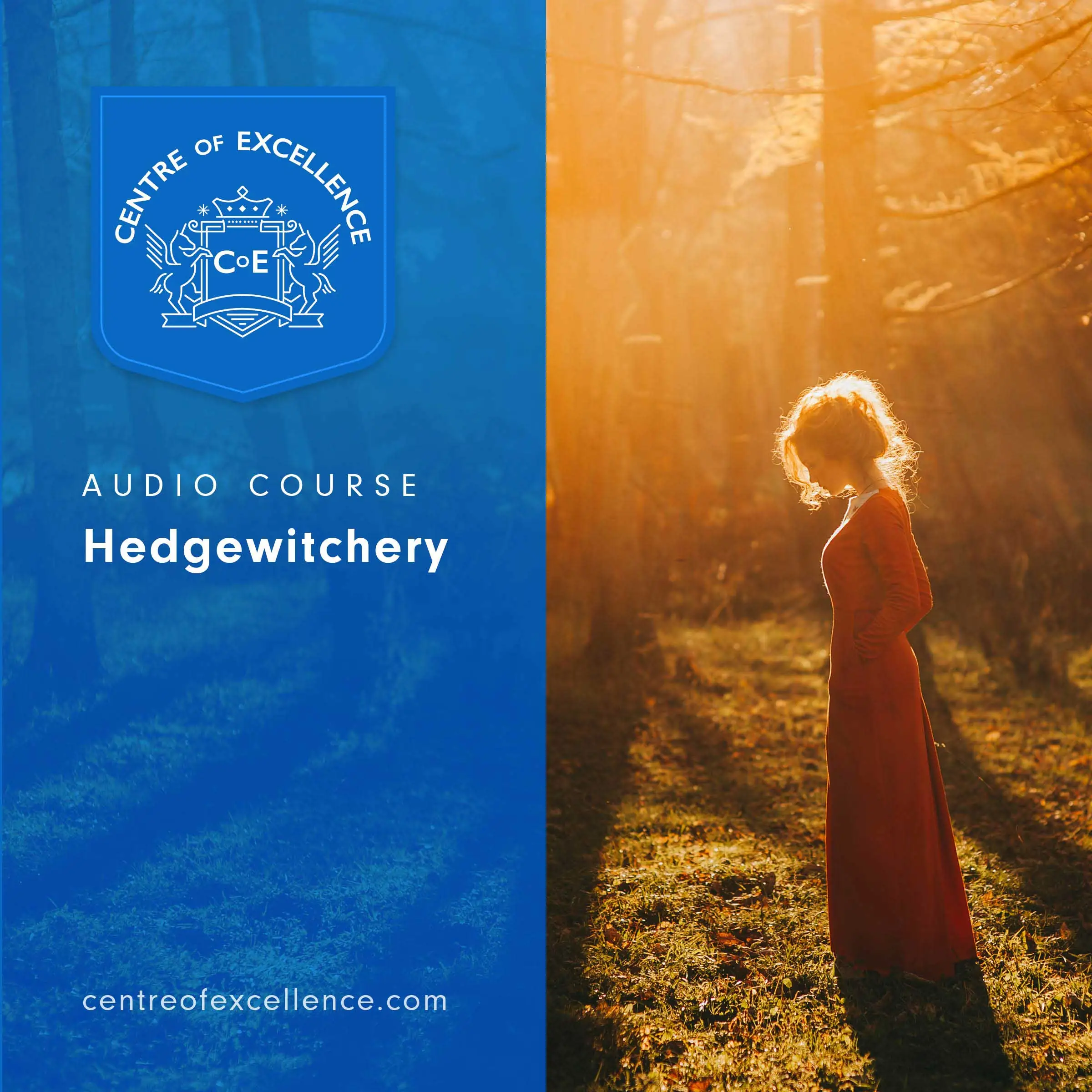 Hedgewitchery by Centre of Excellence