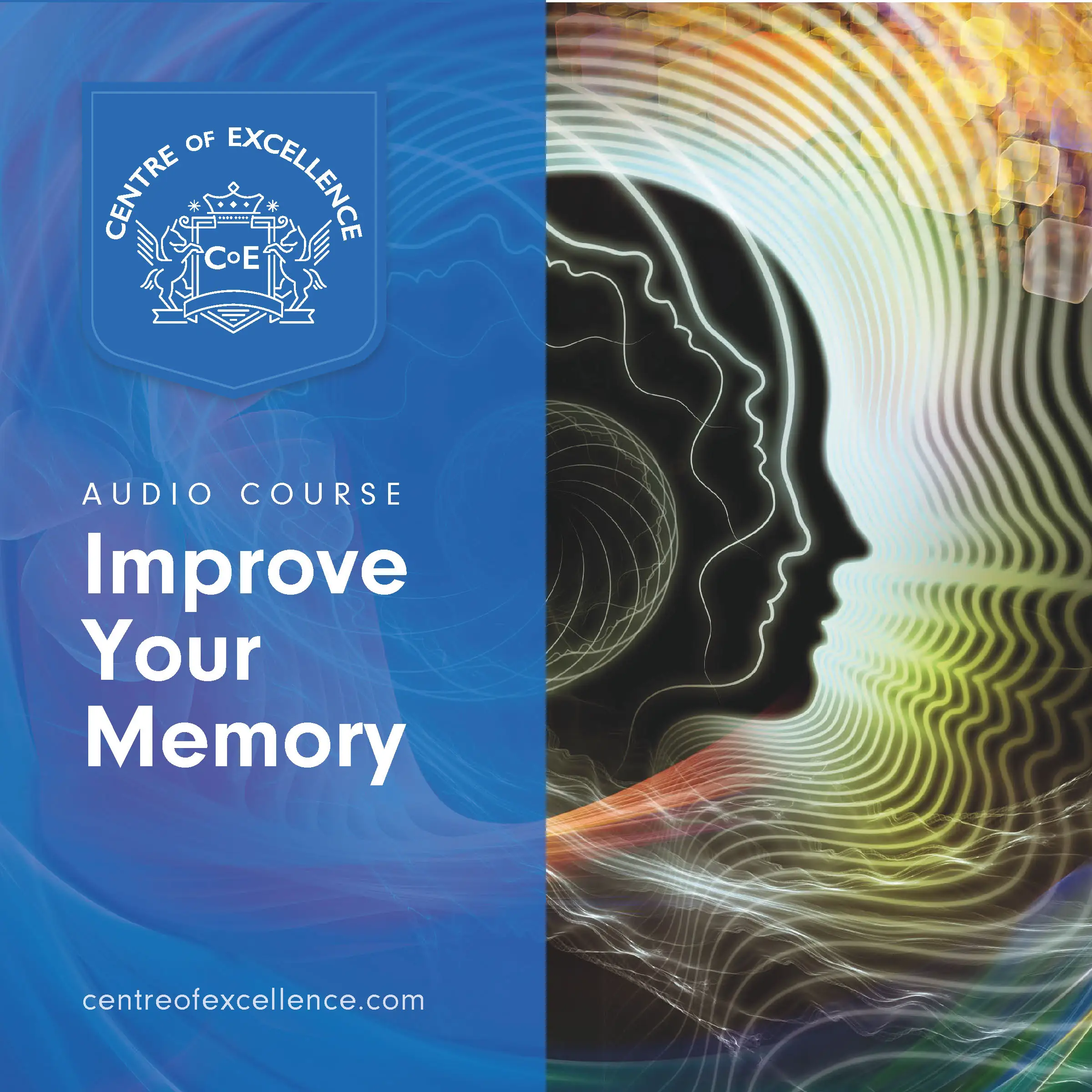 Improve Your Memory by Centre of Excellence Audiobook