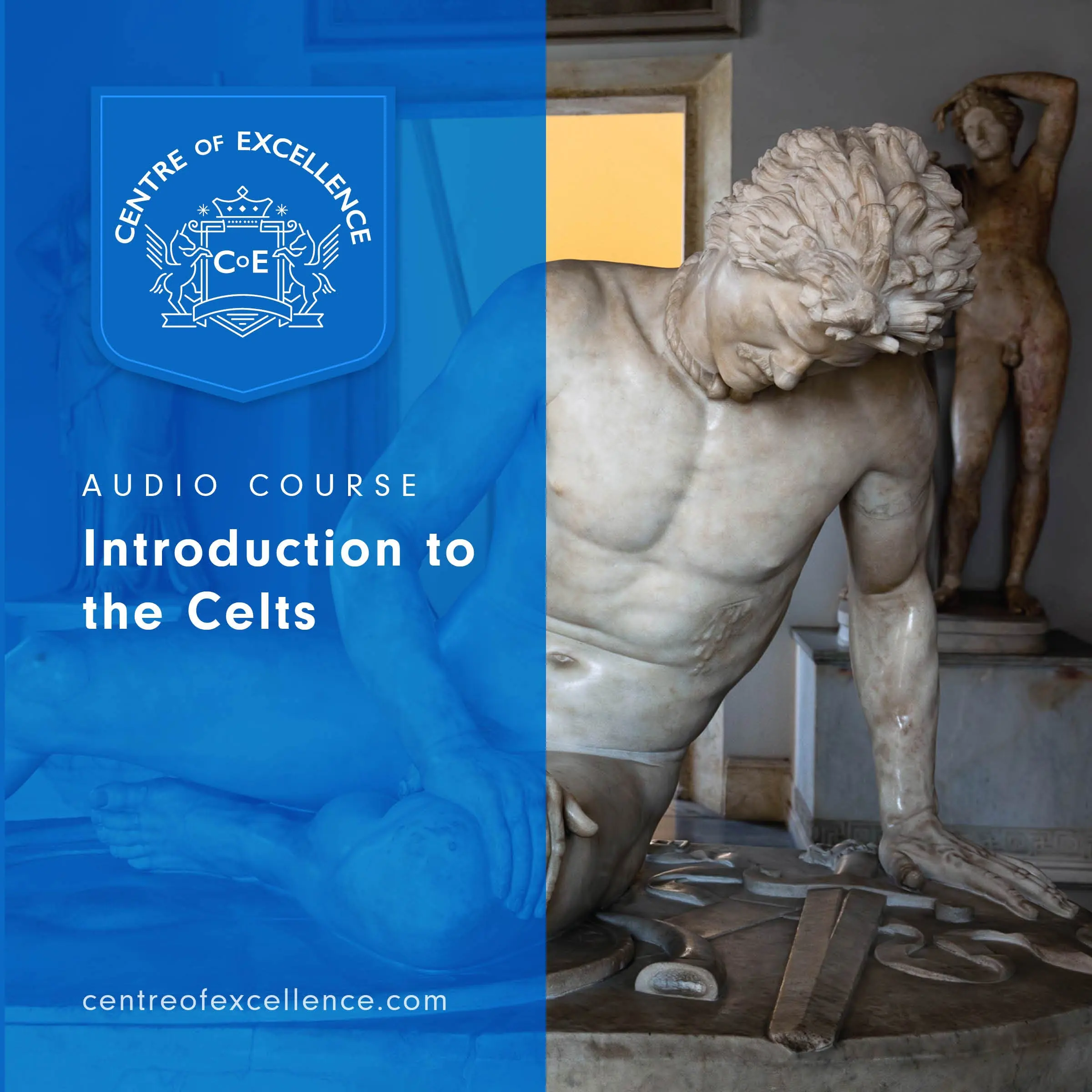 Introduction to the Celts by Centre of Excellence Audiobook