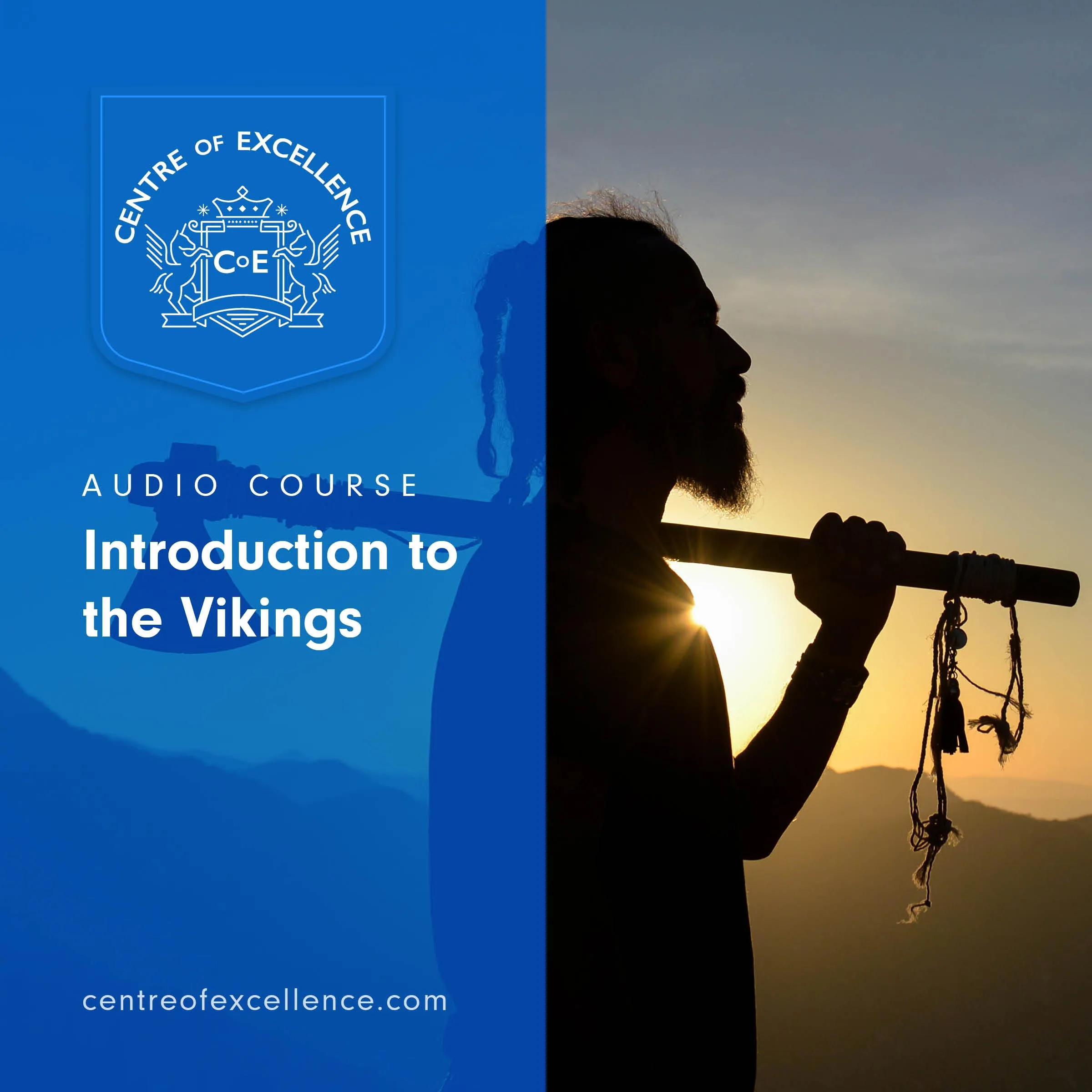 Introduction to the Vikings Audiobook by Centre of Excellence