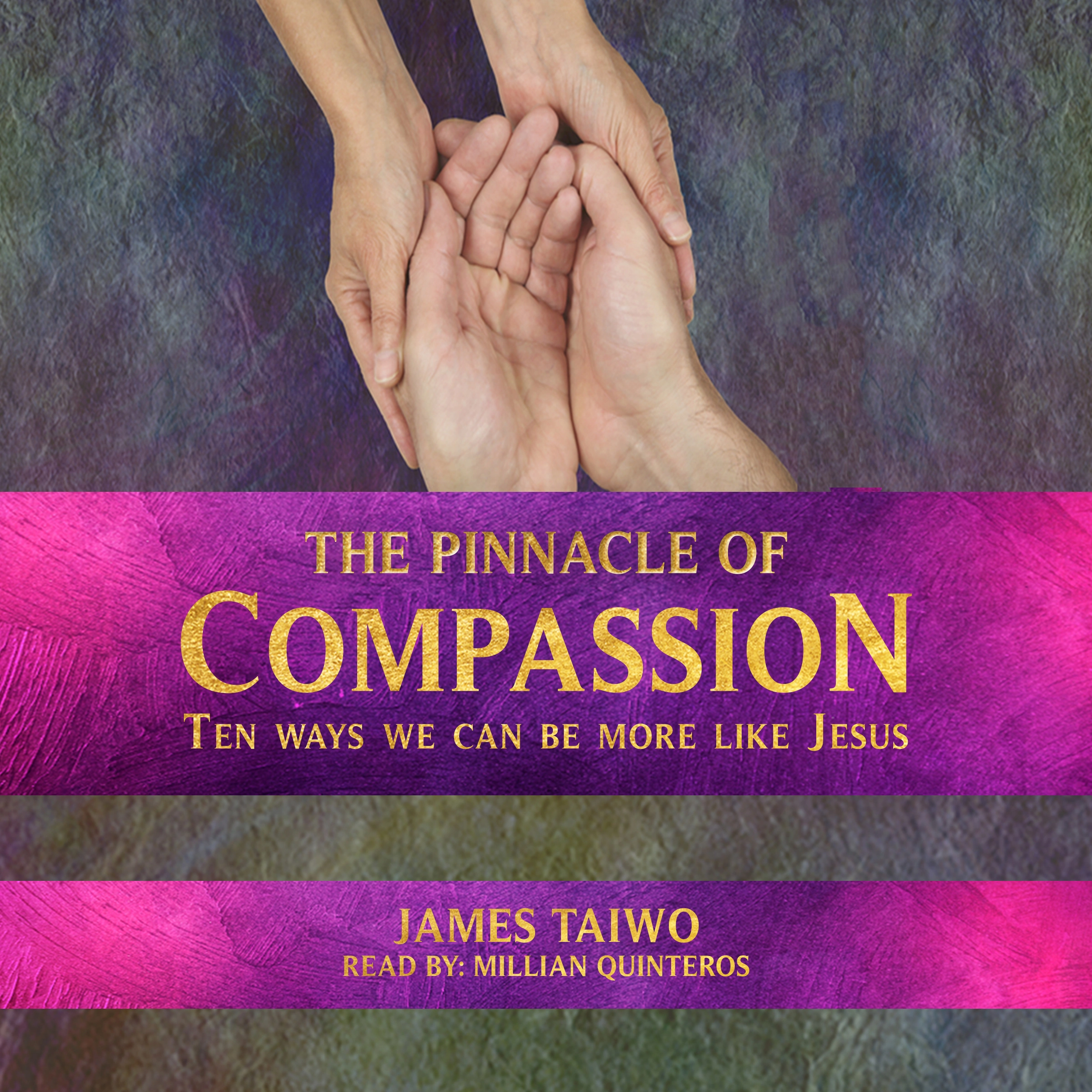 The Pinnacle of Compassion Audiobook by James Taiwo