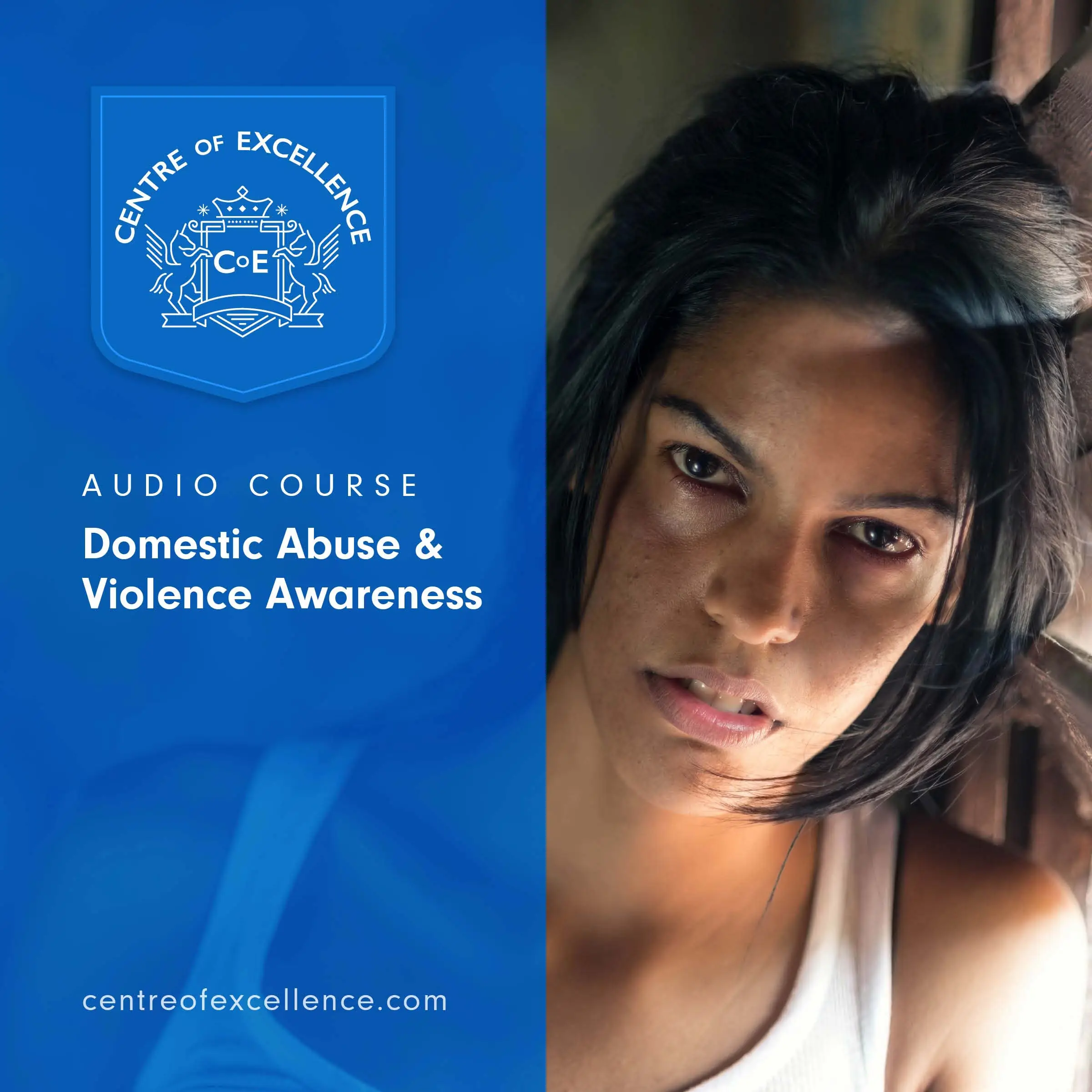 Domestic Abuse & Violence Awareness by Centre of Excellence