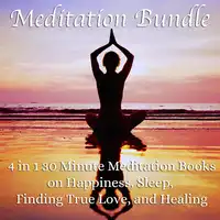 Meditation Bundle: 4 in 1 30 Minute Meditation Books On Happiness, Sleep, Finding True Love, And Healing Audiobook by Living In Bliss Productions