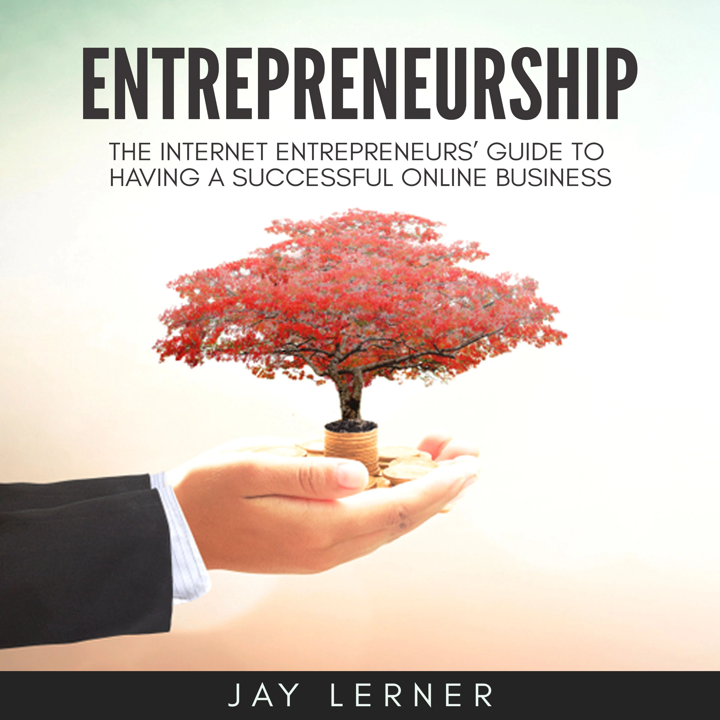 Entrepreneurship: The Internet Entrepreneurs’ Guide to Having a Successful Online Business by Jay Lerner