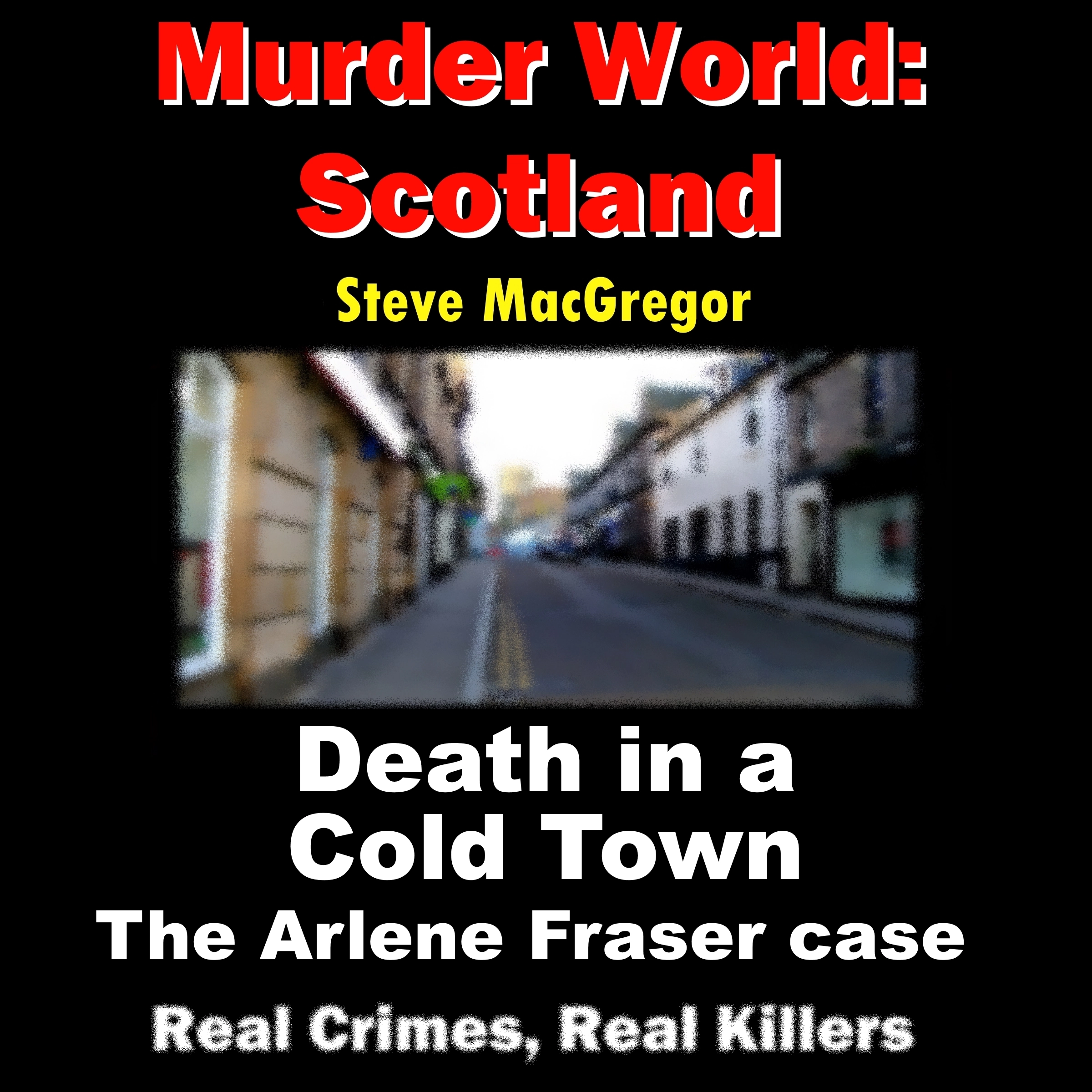 Death in a Cold Town by Steve MacGregor Audiobook