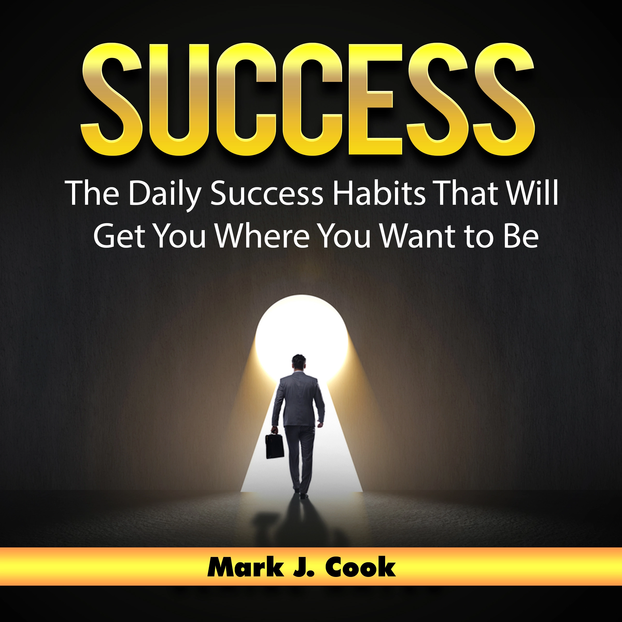 Success: The Daily Success Habits That Will Get You Where You Want to Be by Mark J. Cook