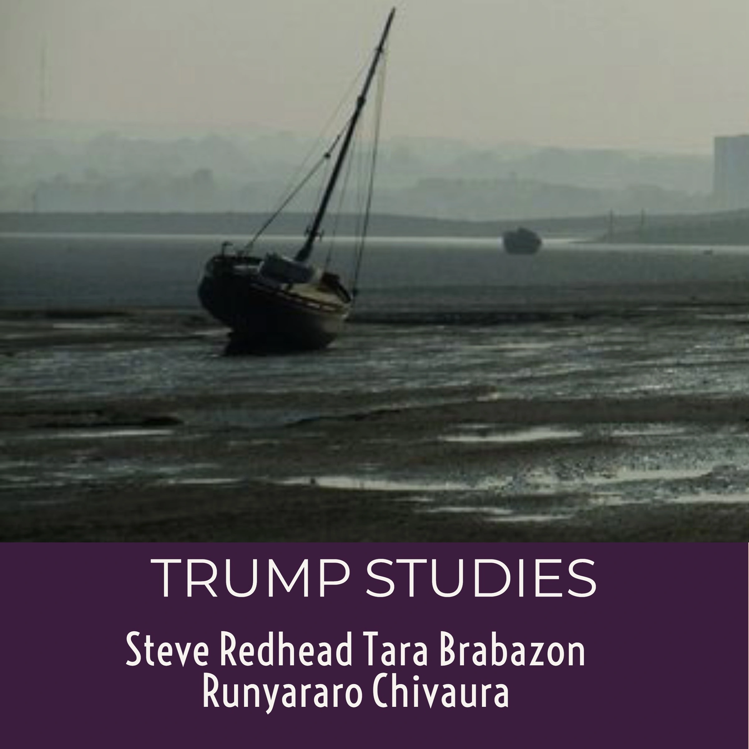 Trump Studies:  An intellectual guide to why citizens vote against their own interests by Runyararo S. Chivaura Audiobook