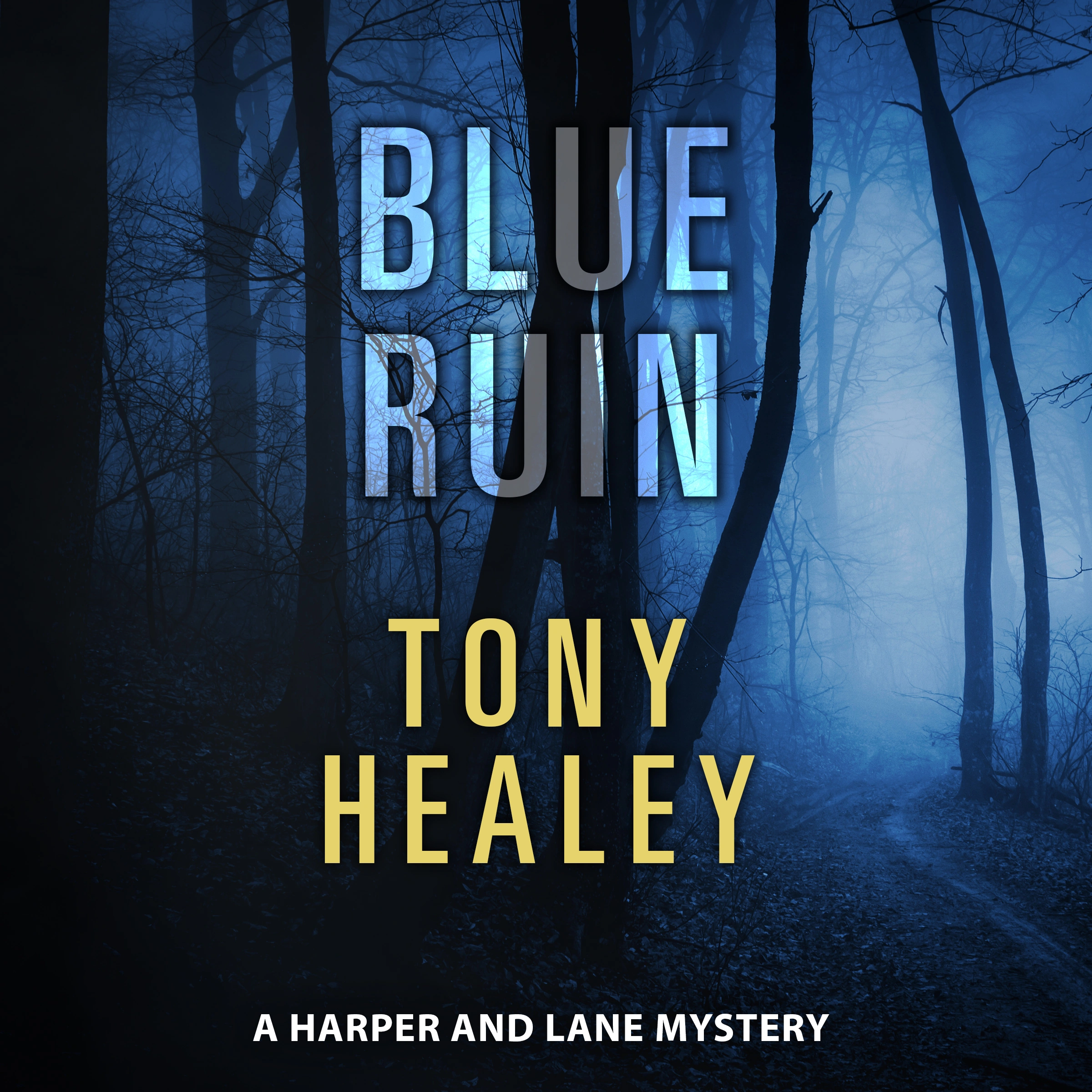 Blue Ruin by Tony Healey Audiobook