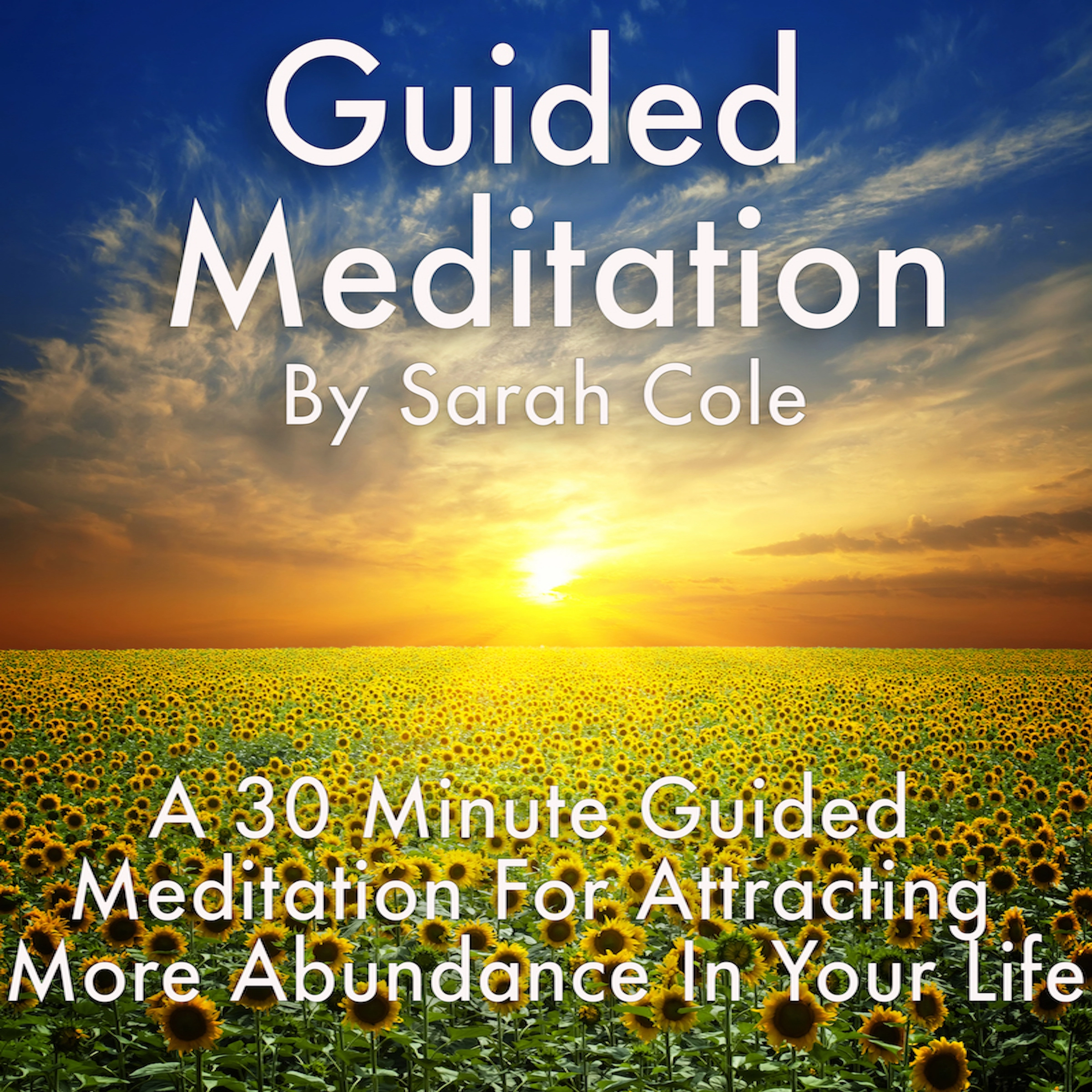 Guided Meditation: A 30 Minute Guided Meditation For Attracting More Abundance In Your Life Audiobook by Sarah Cole