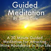 Guided Meditation: A 30 Minute Guided Meditation For Attracting More Abundance In Your Life Audiobook by Sarah Cole