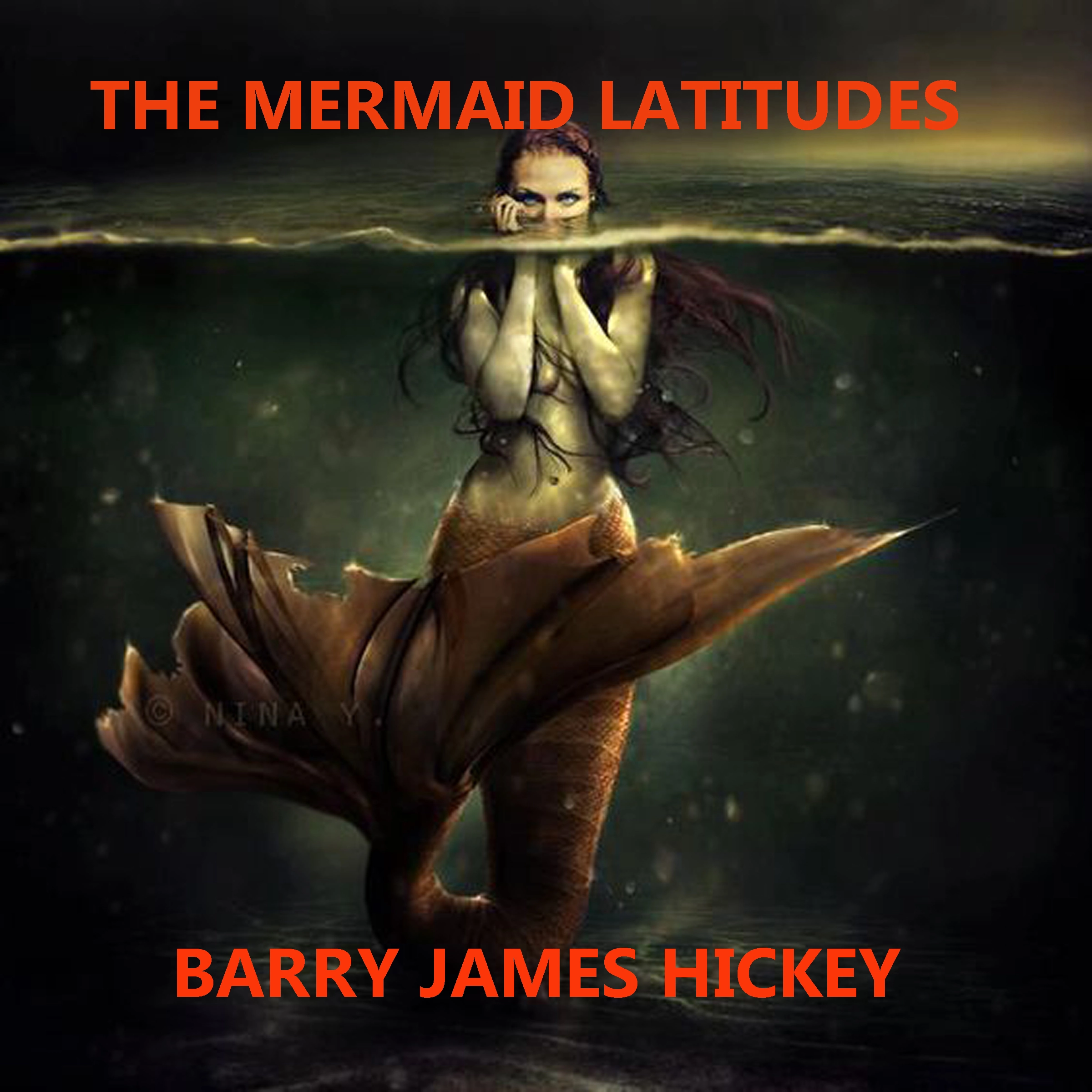 The Mermaid Latitudes by Barry James Hickey