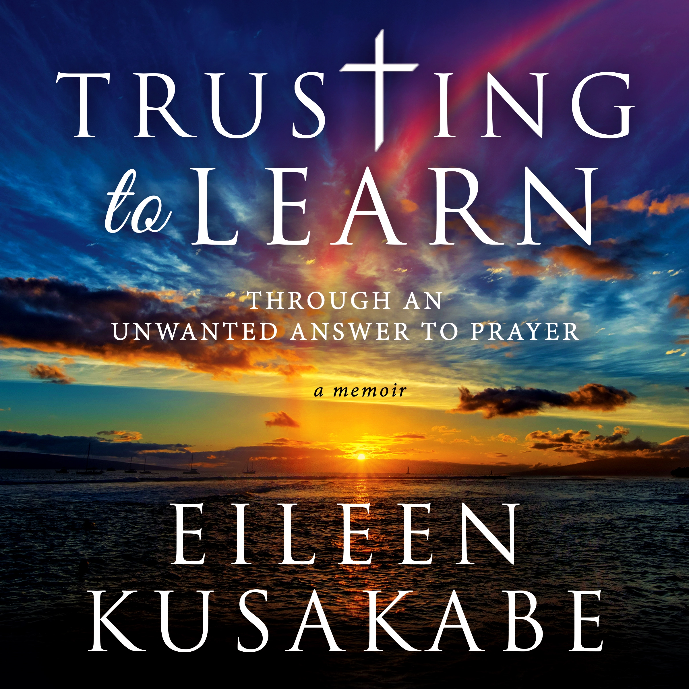 Trusting to Learn Audiobook by Eileen Kusakabe