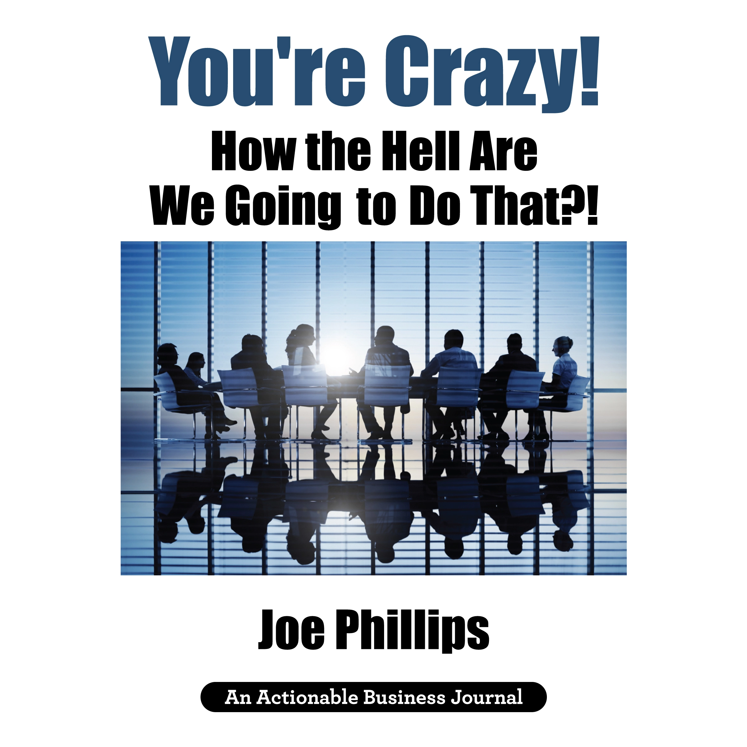 You're Crazy! How the Hell Are We Going to Do That?! by Joe Phillips Audiobook