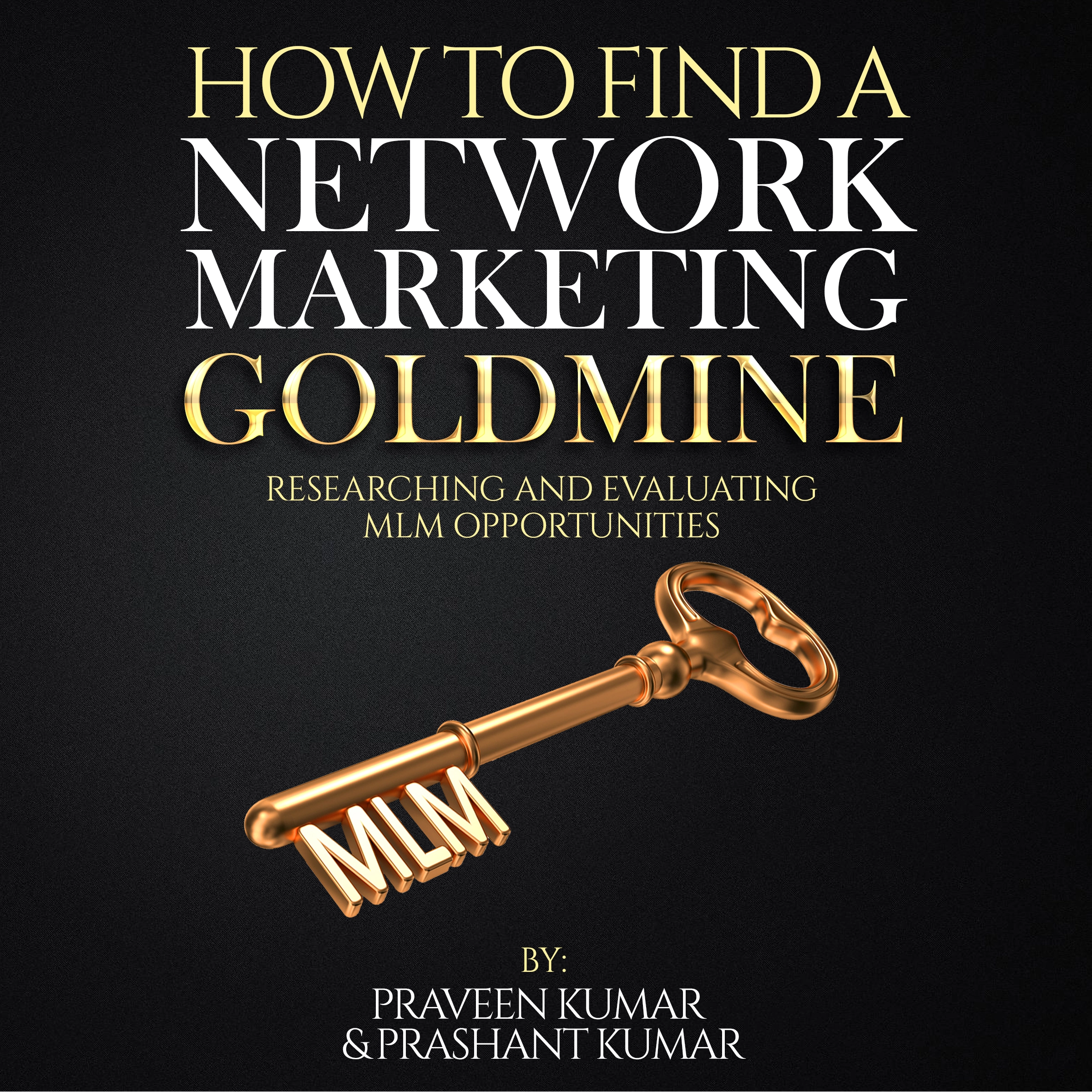 How to Find a Network Marketing Goldmine Audiobook by Praveen Kumar & Prashant Kumar