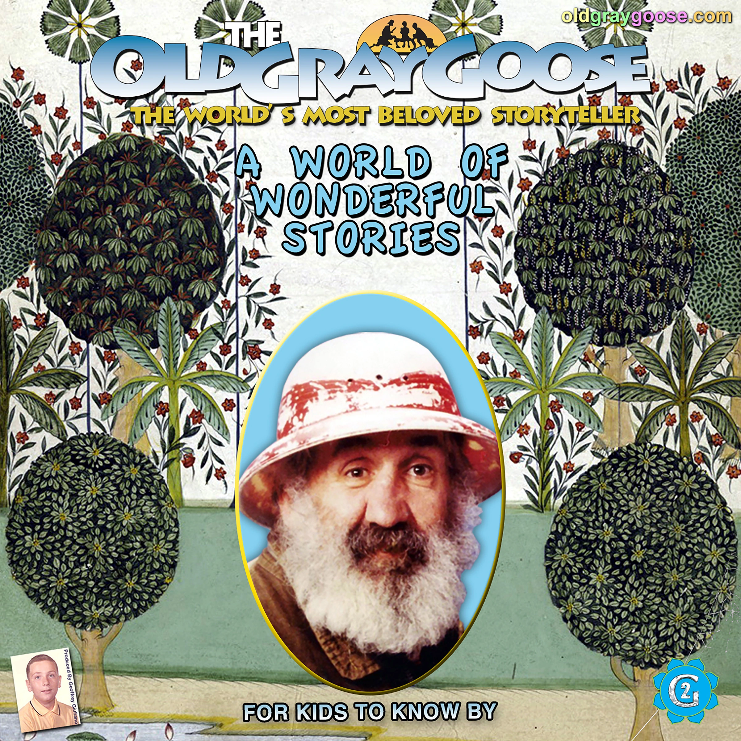 A World of Wonderful Stories Audiobook by Geoffrey Giuliano