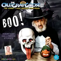 Boo! Audiobook by Geoffrey Giuliano