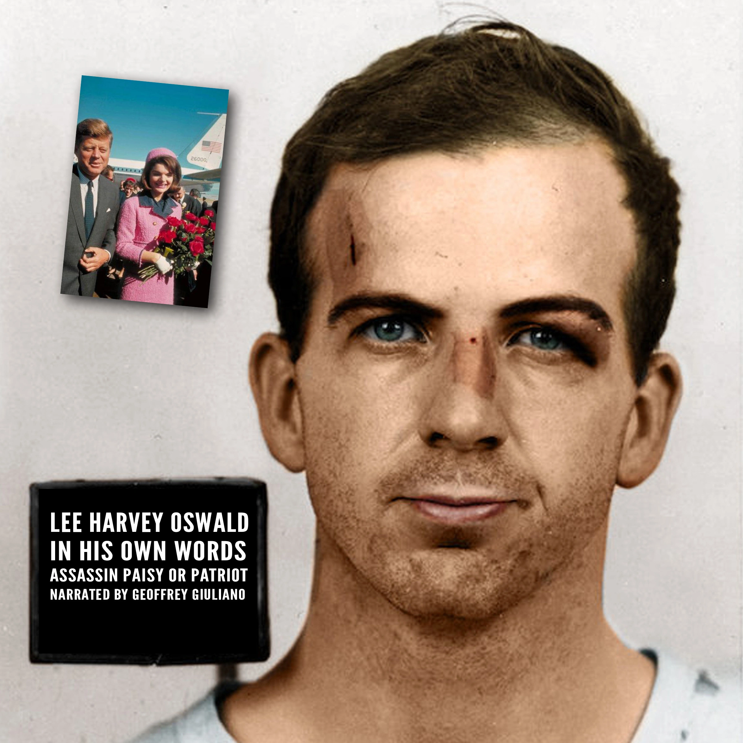 Lee Harvey Oswald - In His Own Words by Geoffrey Giuliano