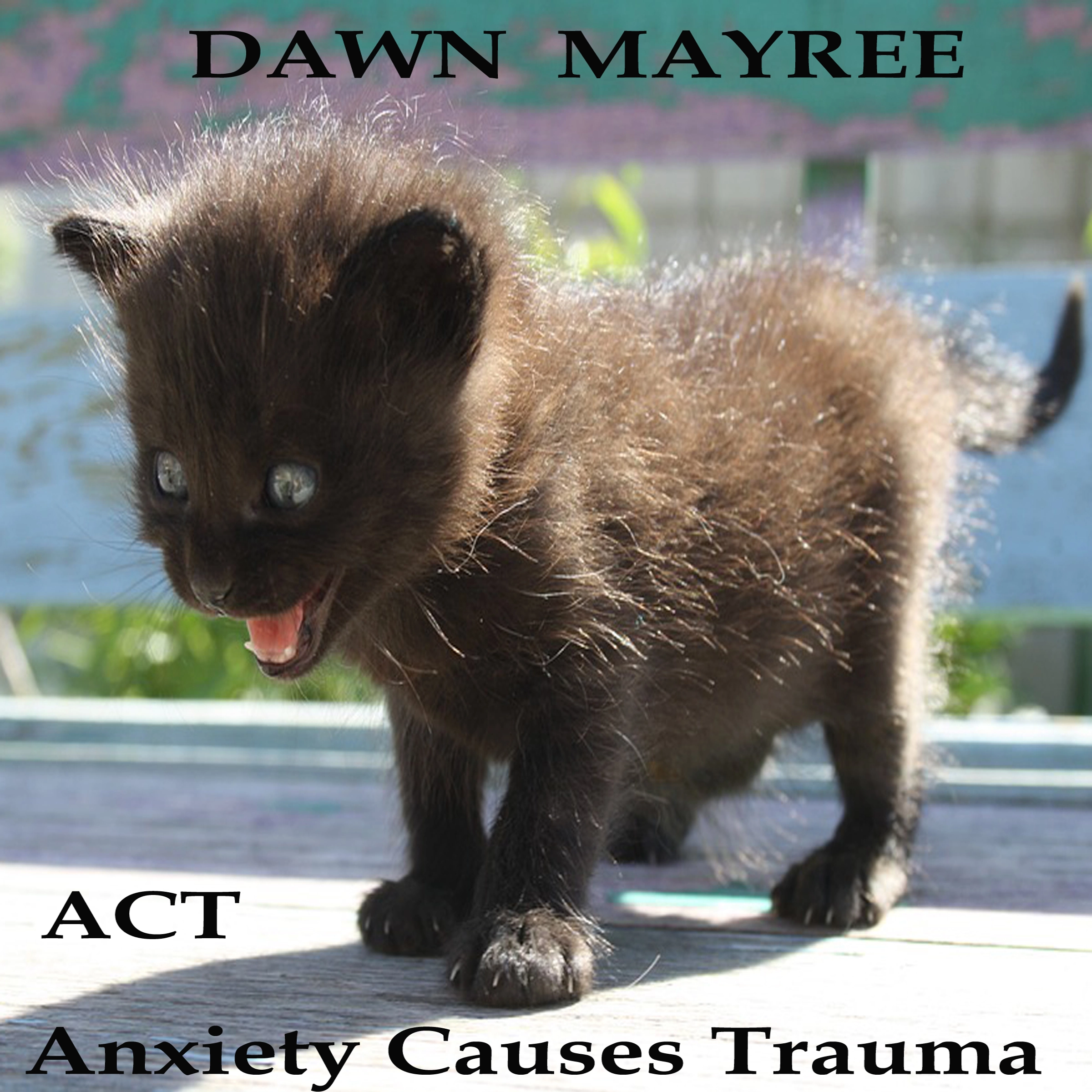 ACT Audiobook by Dawn Mayree