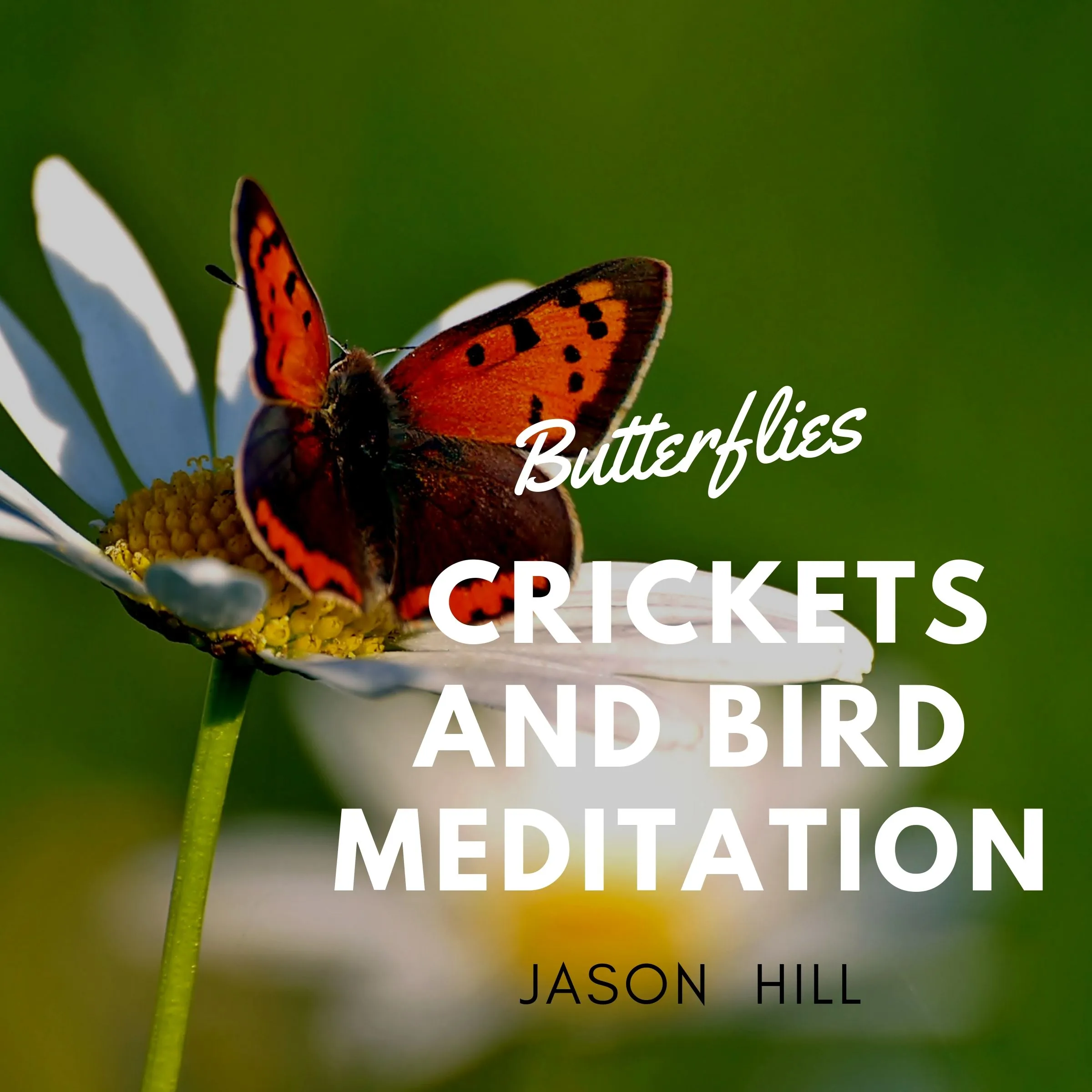 Butterflies Crickets and Birds Meditation by Jason Hill