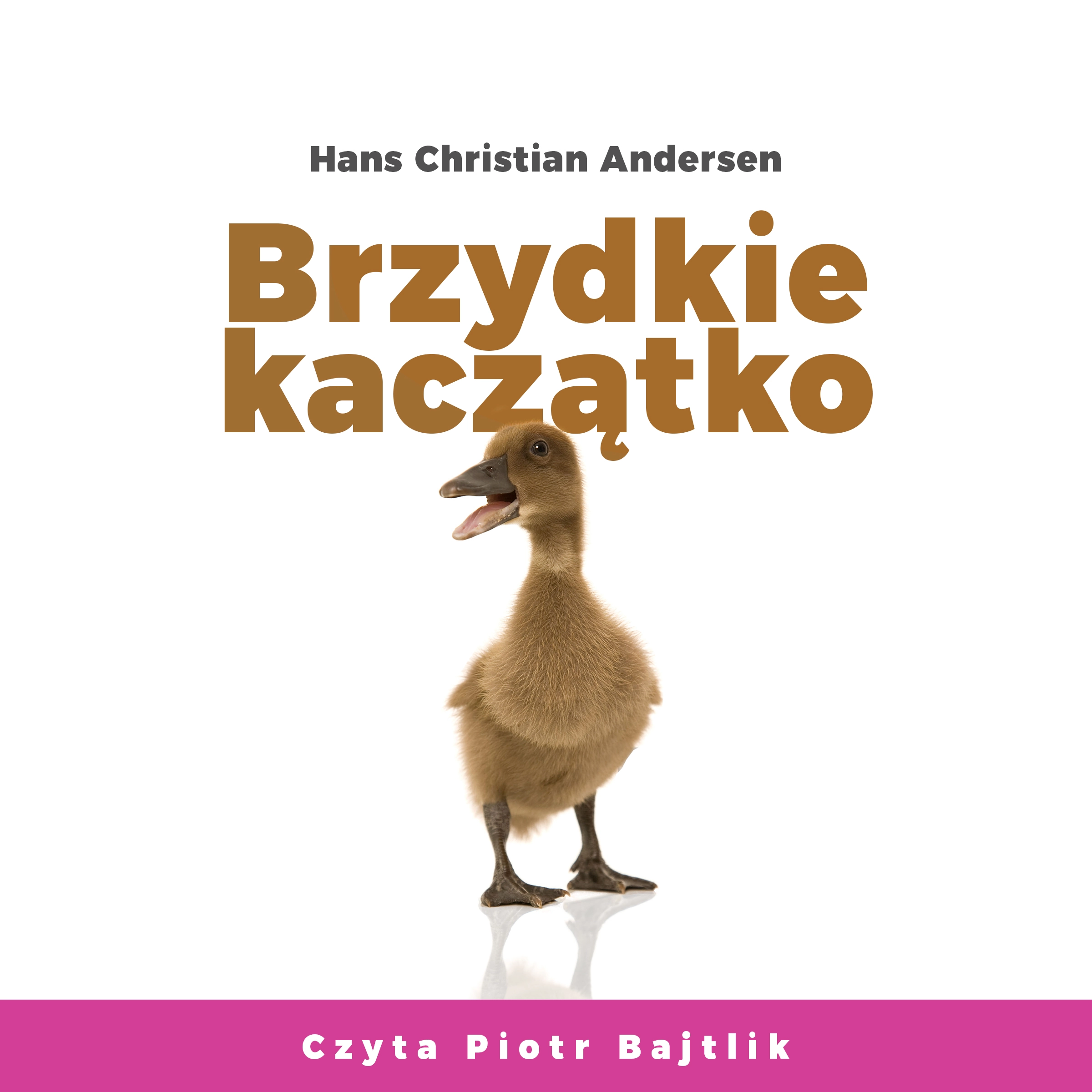 Brzydkie kaczątko by Hans Christian Andersen