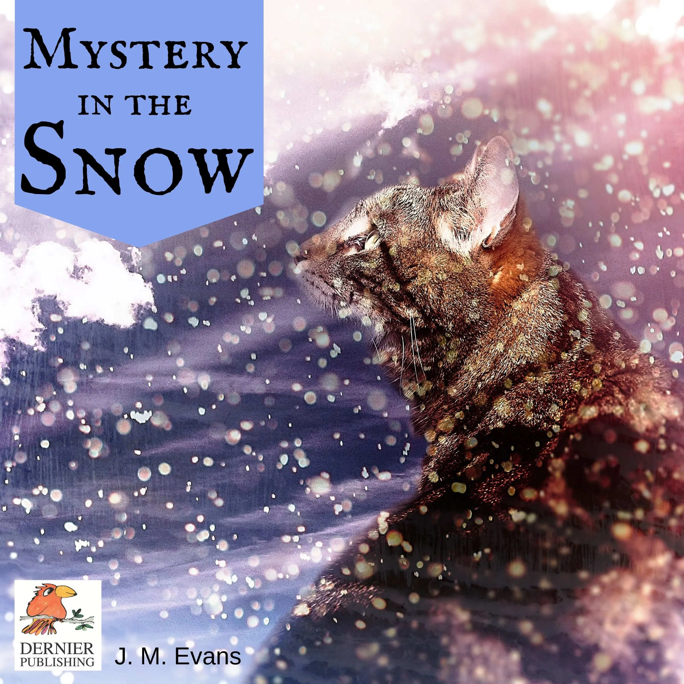 Mystery in the Snow by J.M. Evans Audiobook