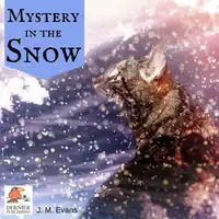 Mystery in the Snow Audiobook by J.M. Evans