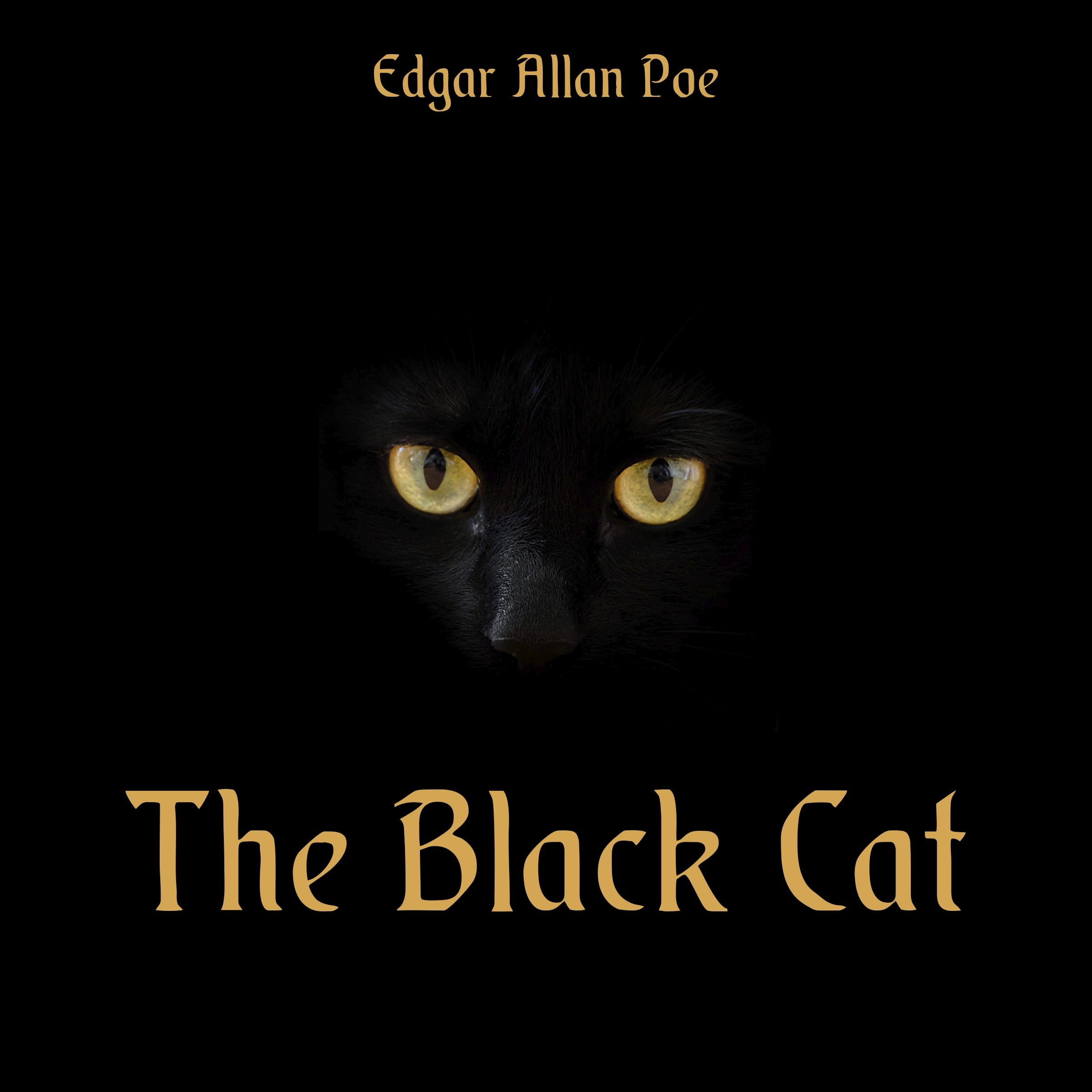 The Black Cat by Edgar Allan Poe Audiobook