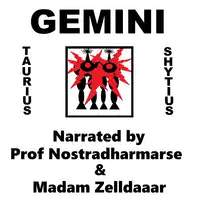 Gemini Audiobook by Taurius Shytius