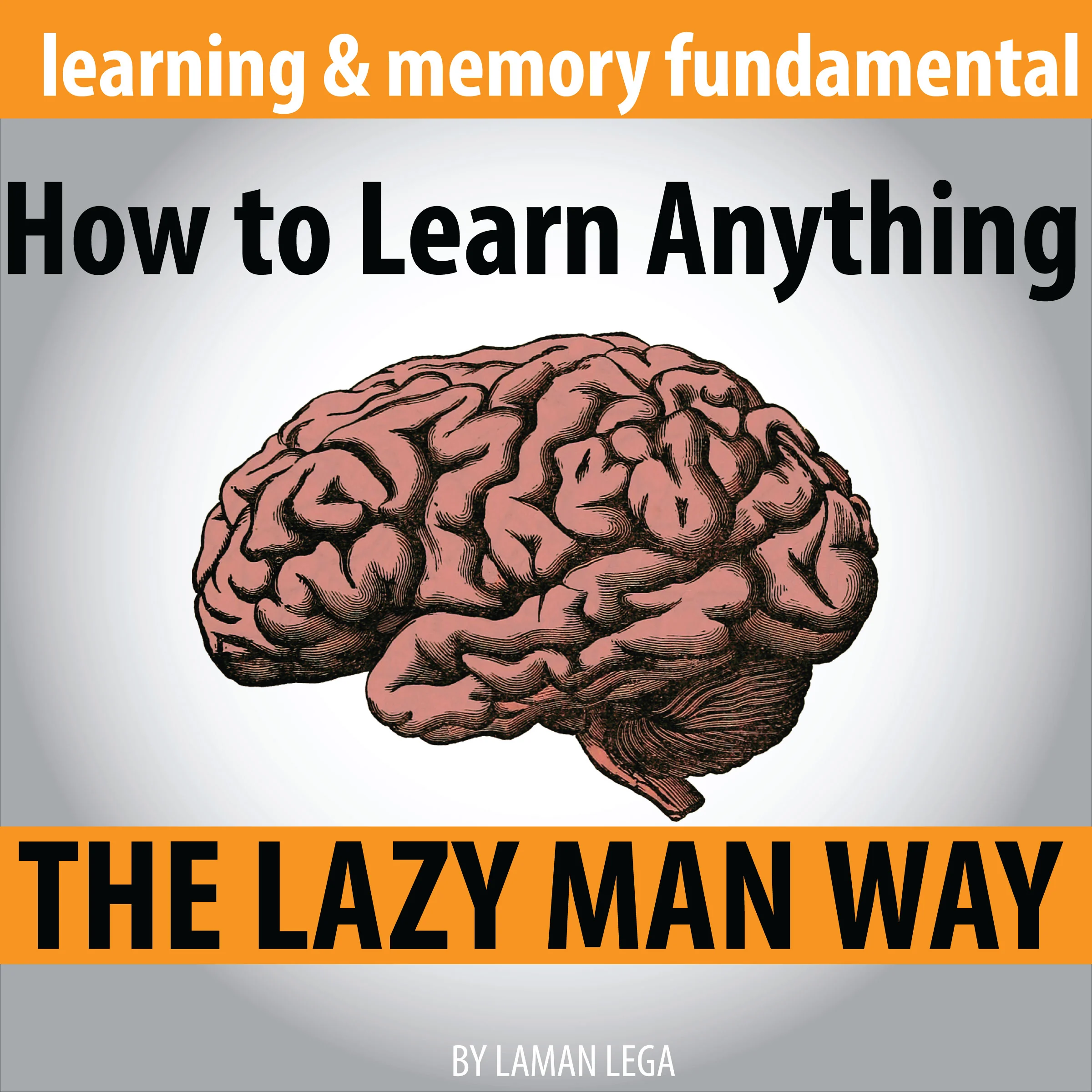 How to Learn Anything the Lazy Man Way by Laman Lega Audiobook