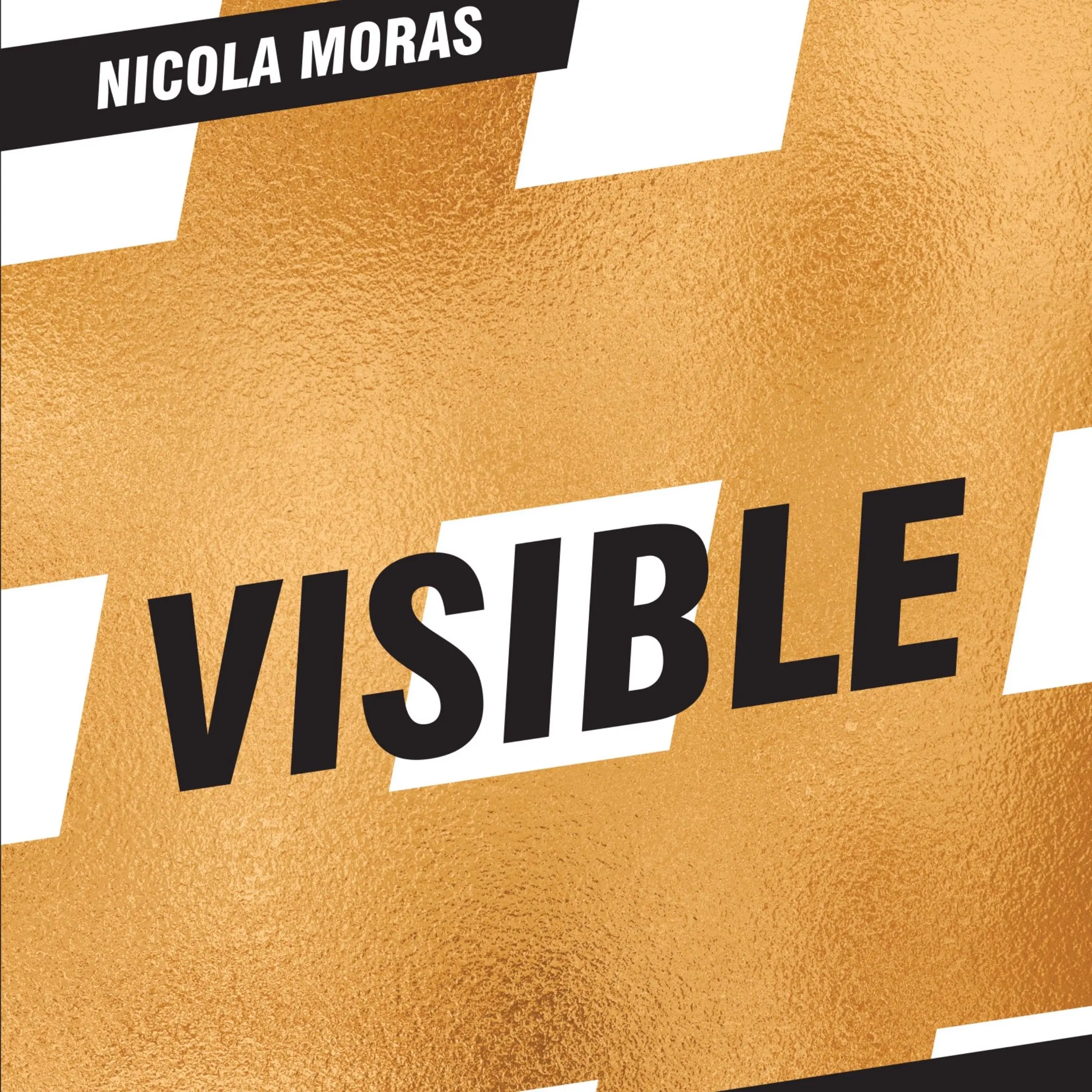 VISIBLE Audiobook by Nicola Moras