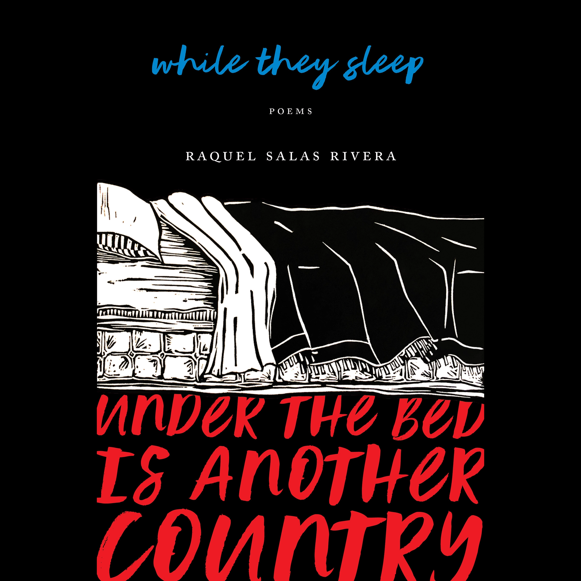 while they sleep (under the bed is another country) Audiobook by Raquel Salas Rivera