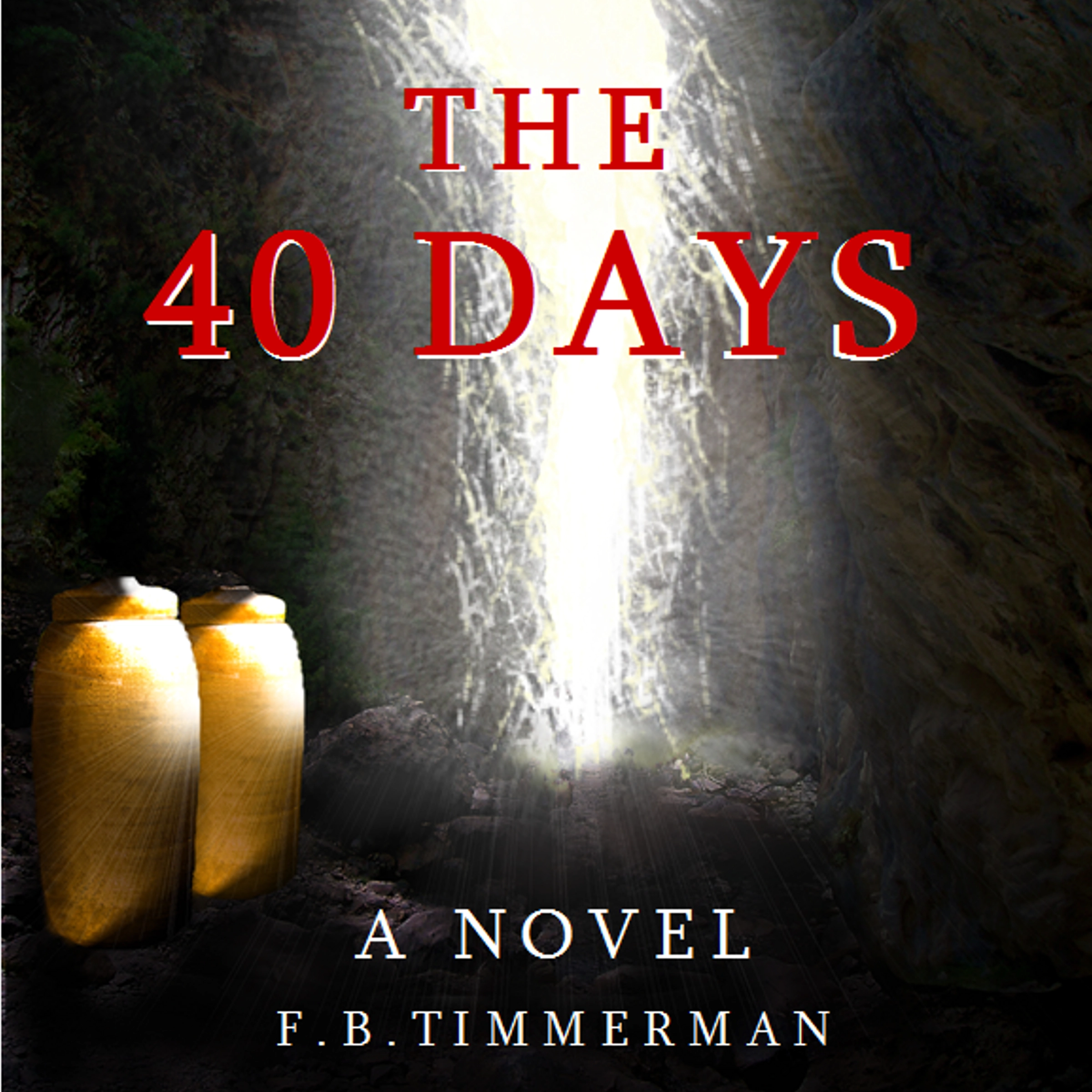 The 40 Days: A Novel: A Story about Jesus Christ and the Days Before He Returned to Heaven by F.B. Timmerman Audiobook