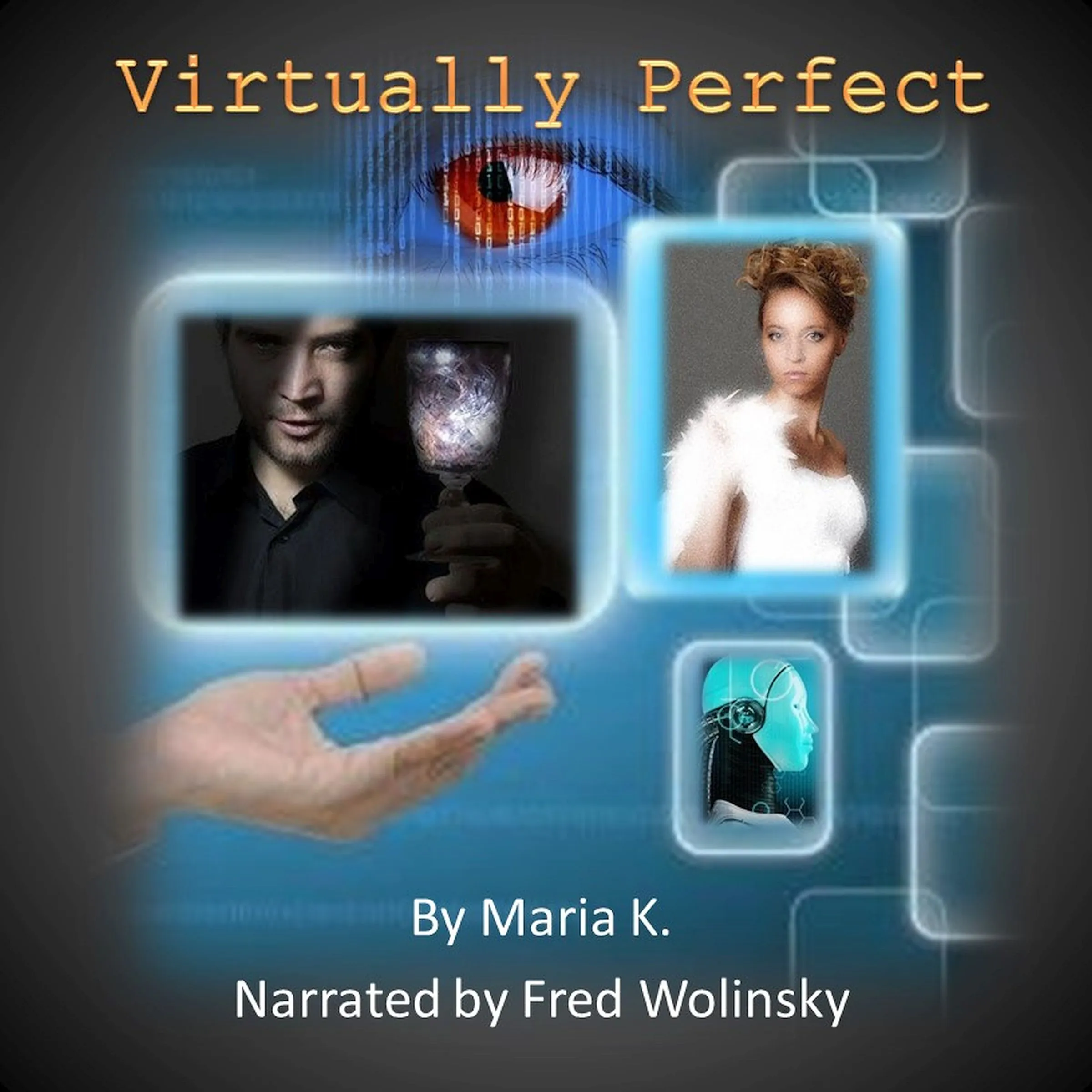 Virtually Perfect by Maria K Audiobook