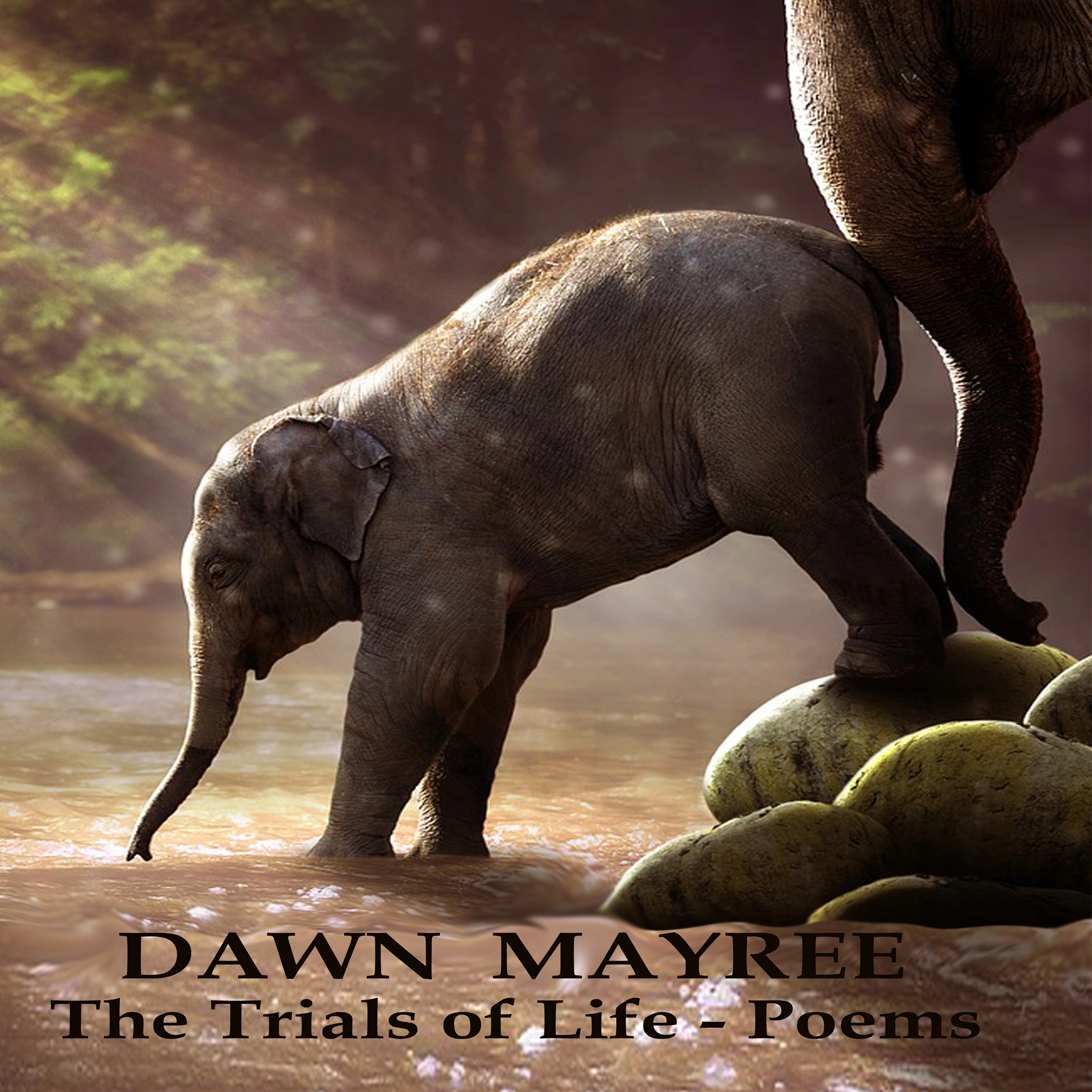 The Trials of Life - Poems Audiobook by Dawn Mayree