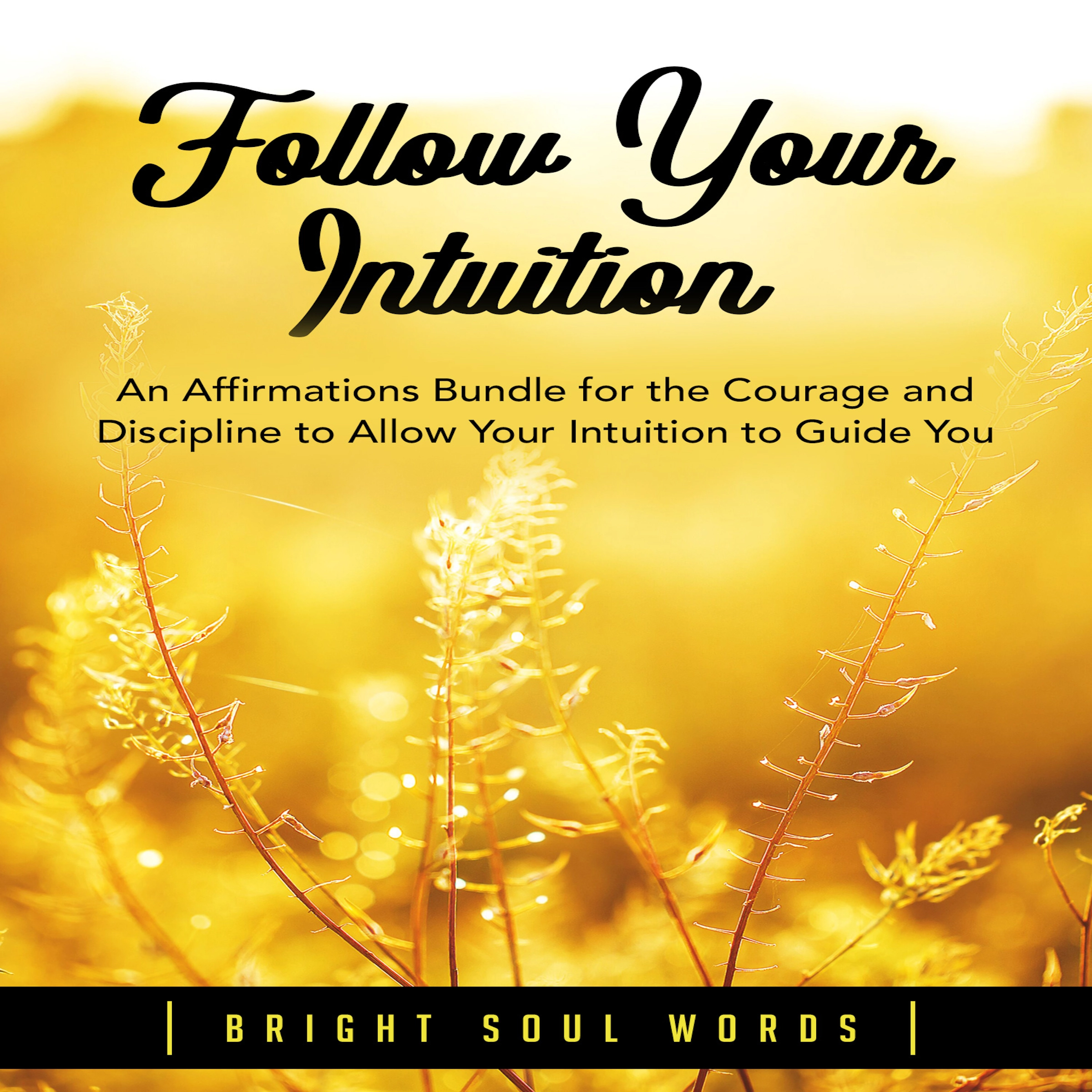 Follow Your Intuition: An Affirmations Bundle for the Courage and Discipline to Allow Your Intuition to Guide You Audiobook by Bright Soul Words