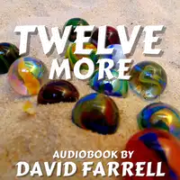 Twelve More Audiobook by David Farrell