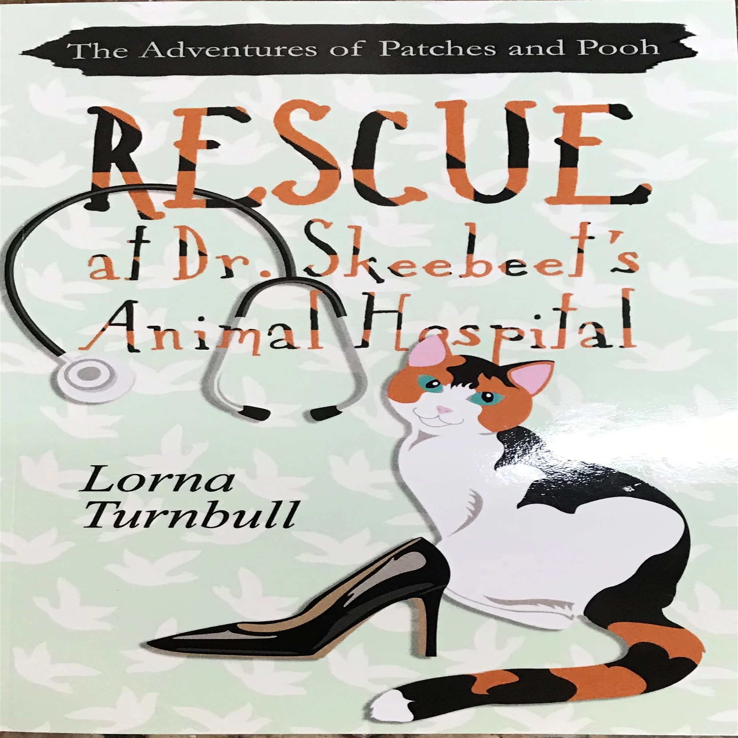 The Adventures of Patches and Pooh: Rescue at Dr. Skeebeet's Animal Hospital by Lorna Turnbull Audiobook