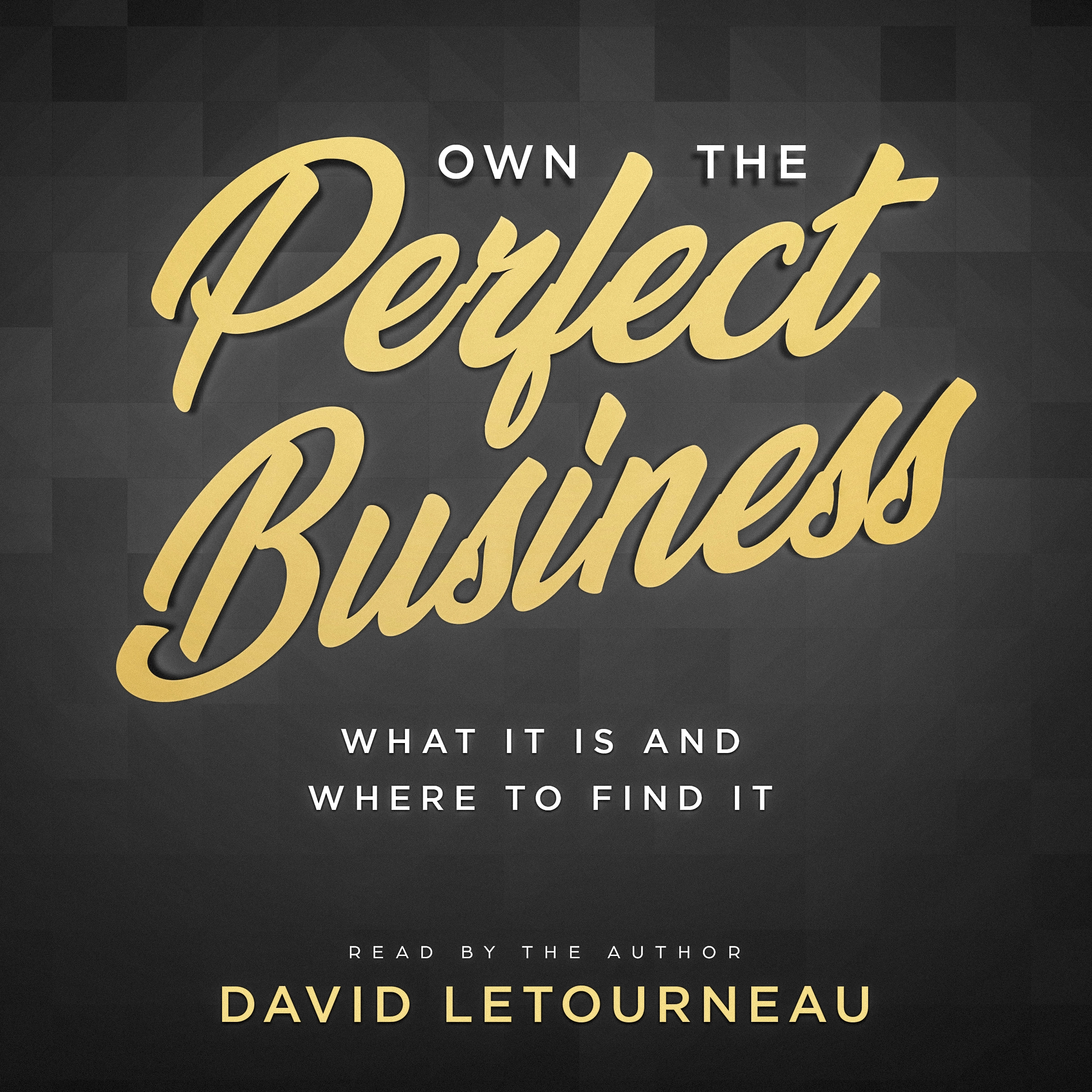 Own the Perfect Business Audiobook by David Letourneau