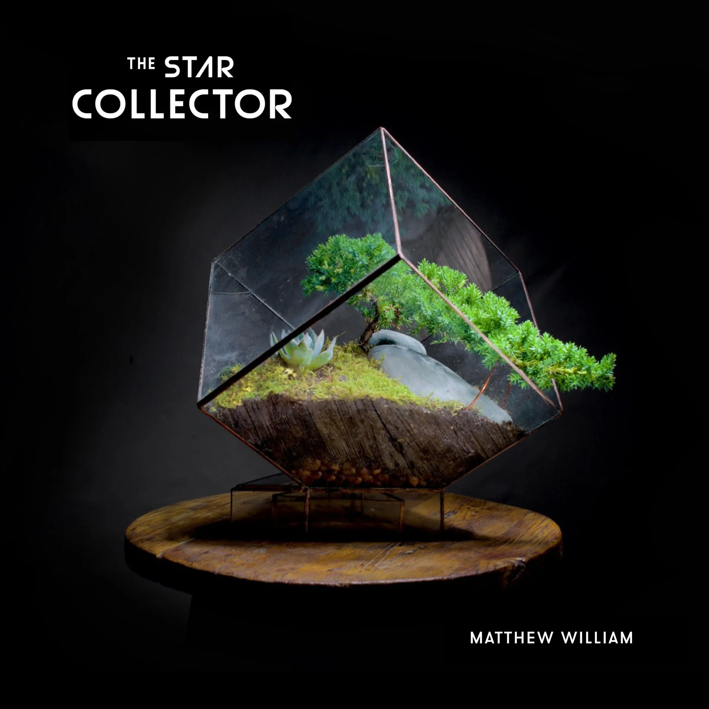 The Star Collector by Matthew William Audiobook