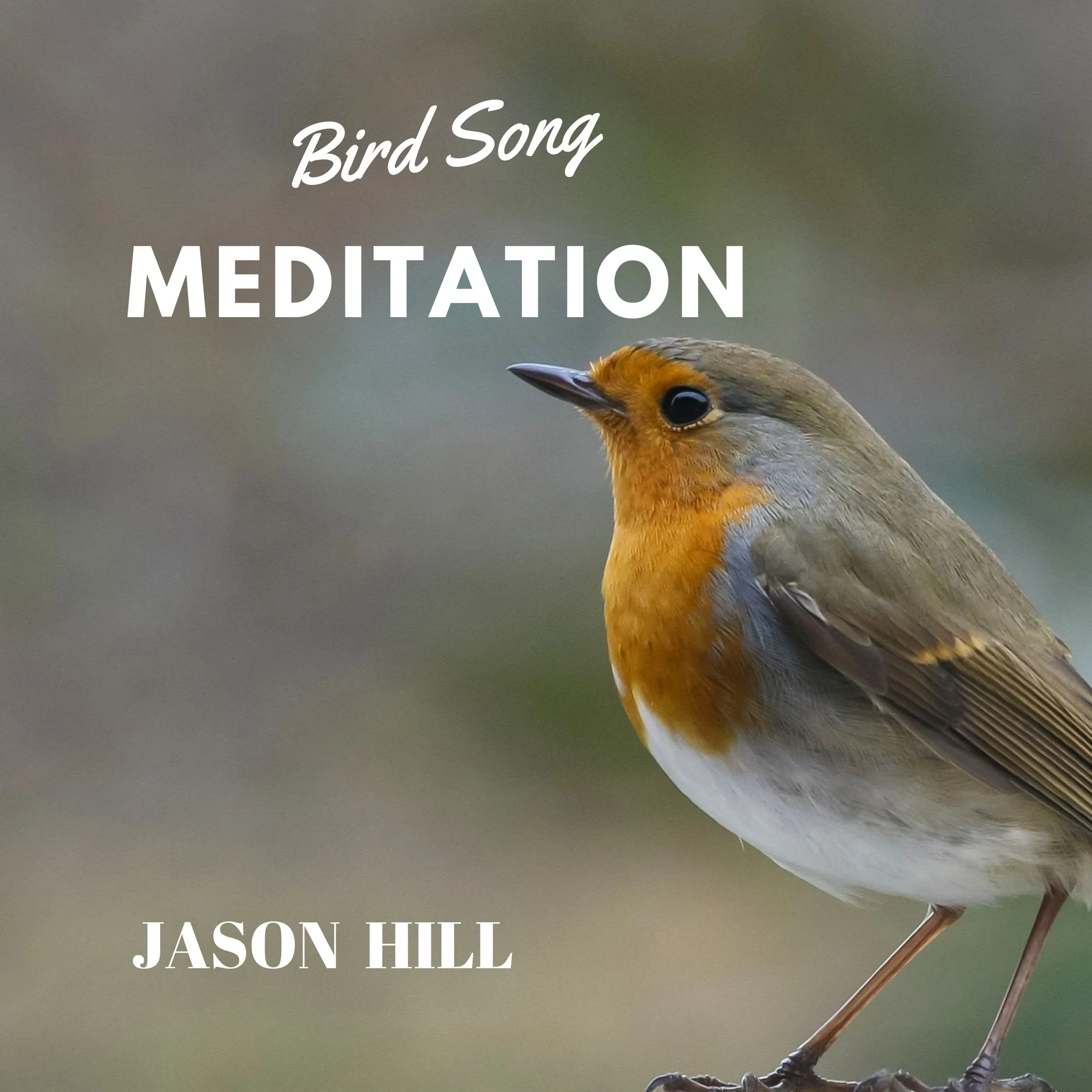 Bird Song Meditation by Jason Hill Audiobook