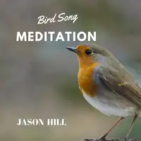 Bird Song Meditation Audiobook by Jason Hill