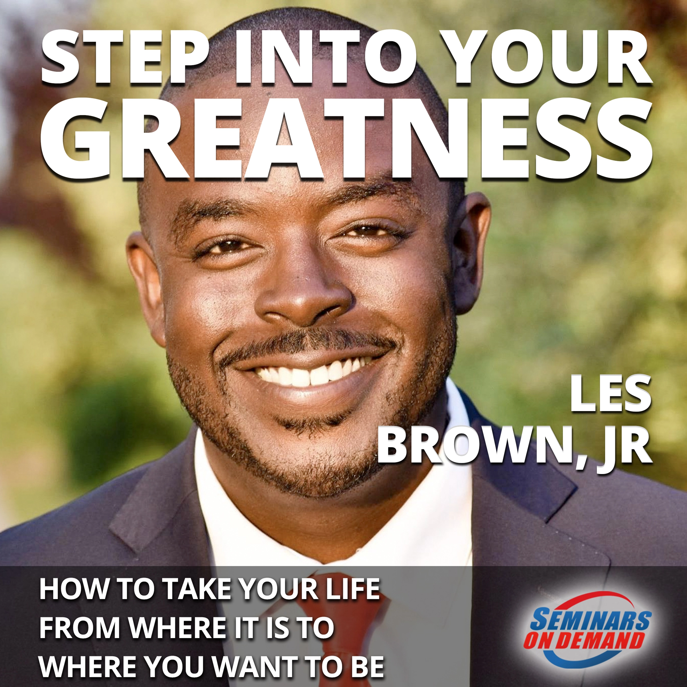 Step Into Your Greatness - How to Take Your Life from Where It Is to Where You Want to Be by Les Brown Jr