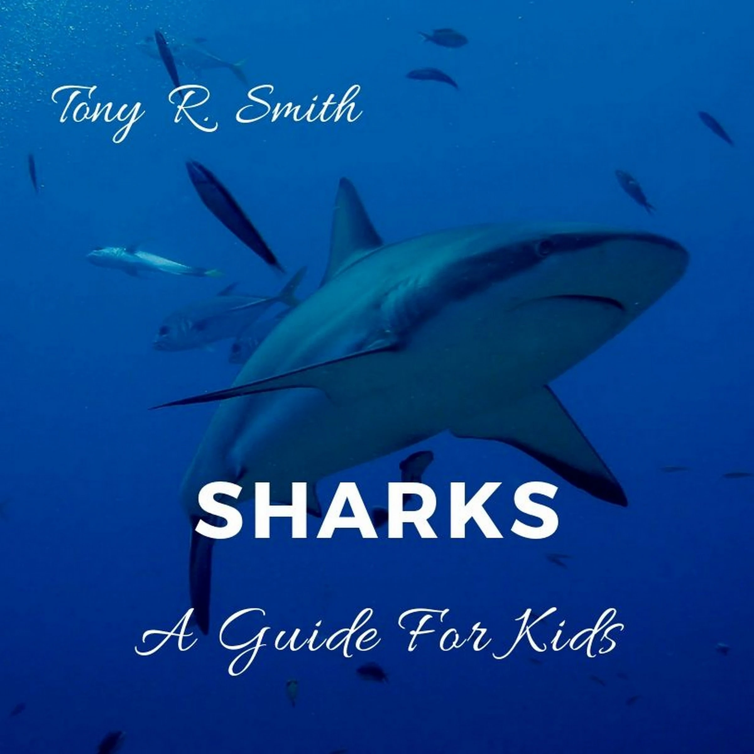 Sharks: A Guide for Kids by Tony R. Smith