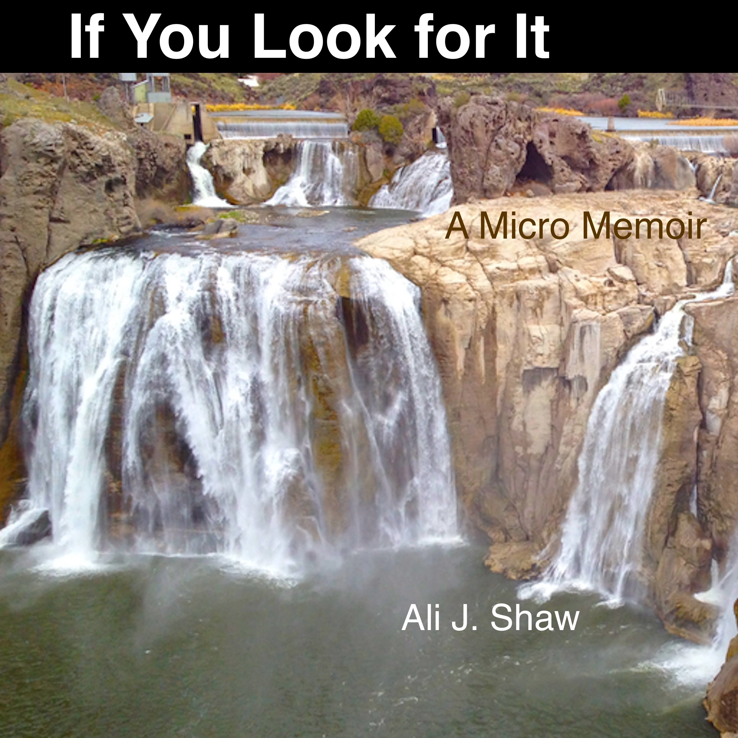 If You Look for It: A Micro Memoir by Ali J. Shaw Audiobook