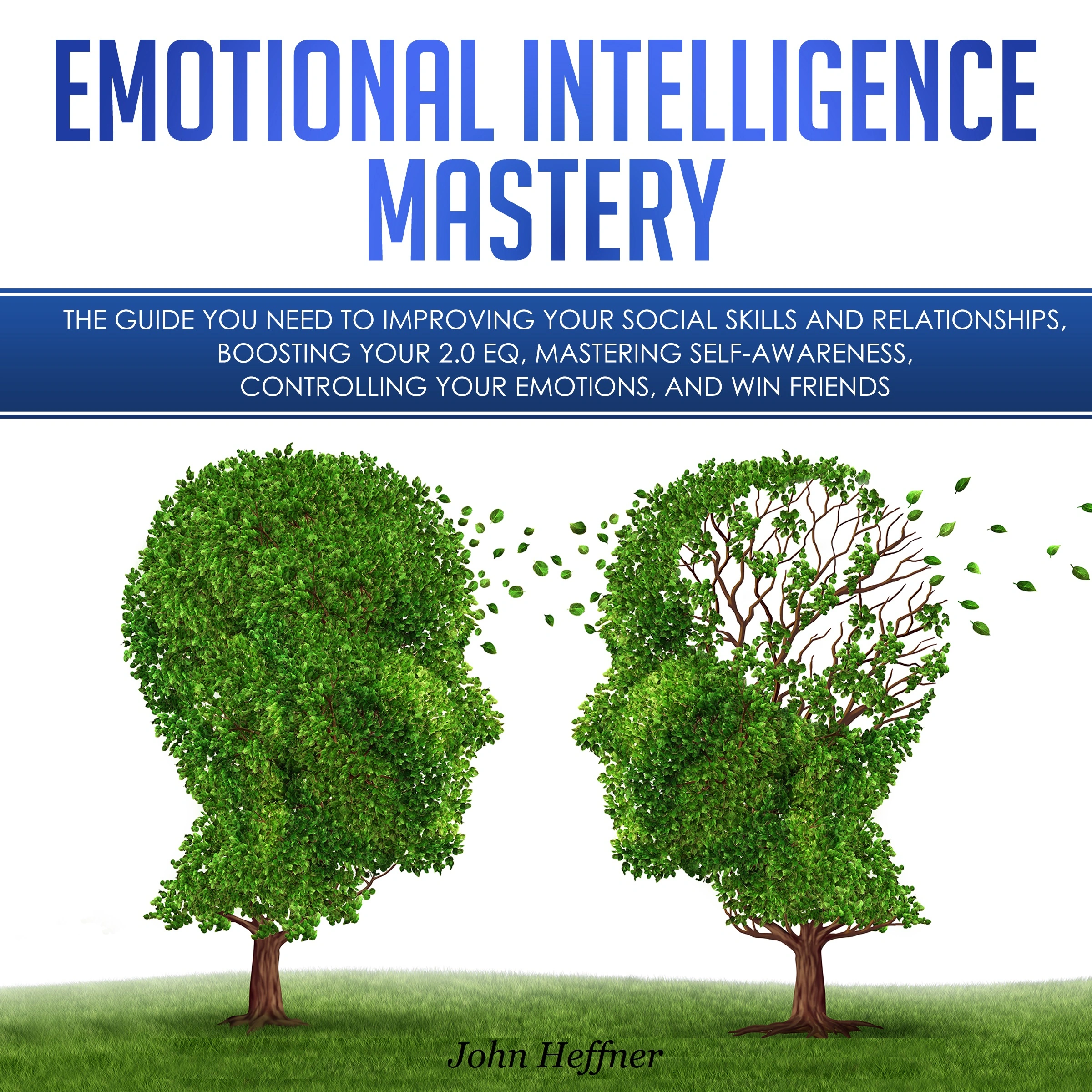 Emotional Intelligence Mastery: The Guide you need to Improving Your Social Skills and Relationships, Boosting Your 2.0 EQ, Mastering Self-Awareness, Controlling Your Emotions, and Win Friends Audiobook by John Hoffner